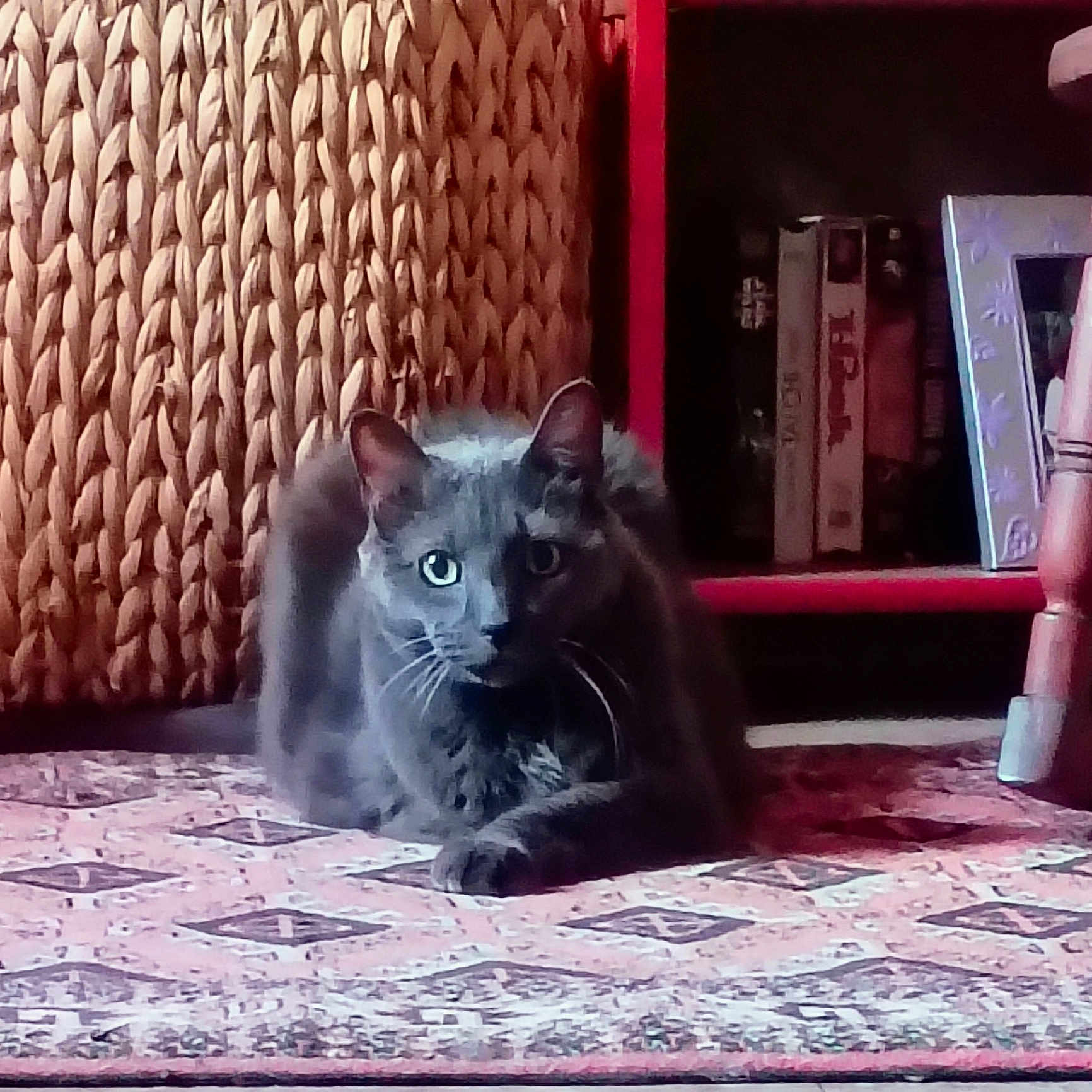 Sophie