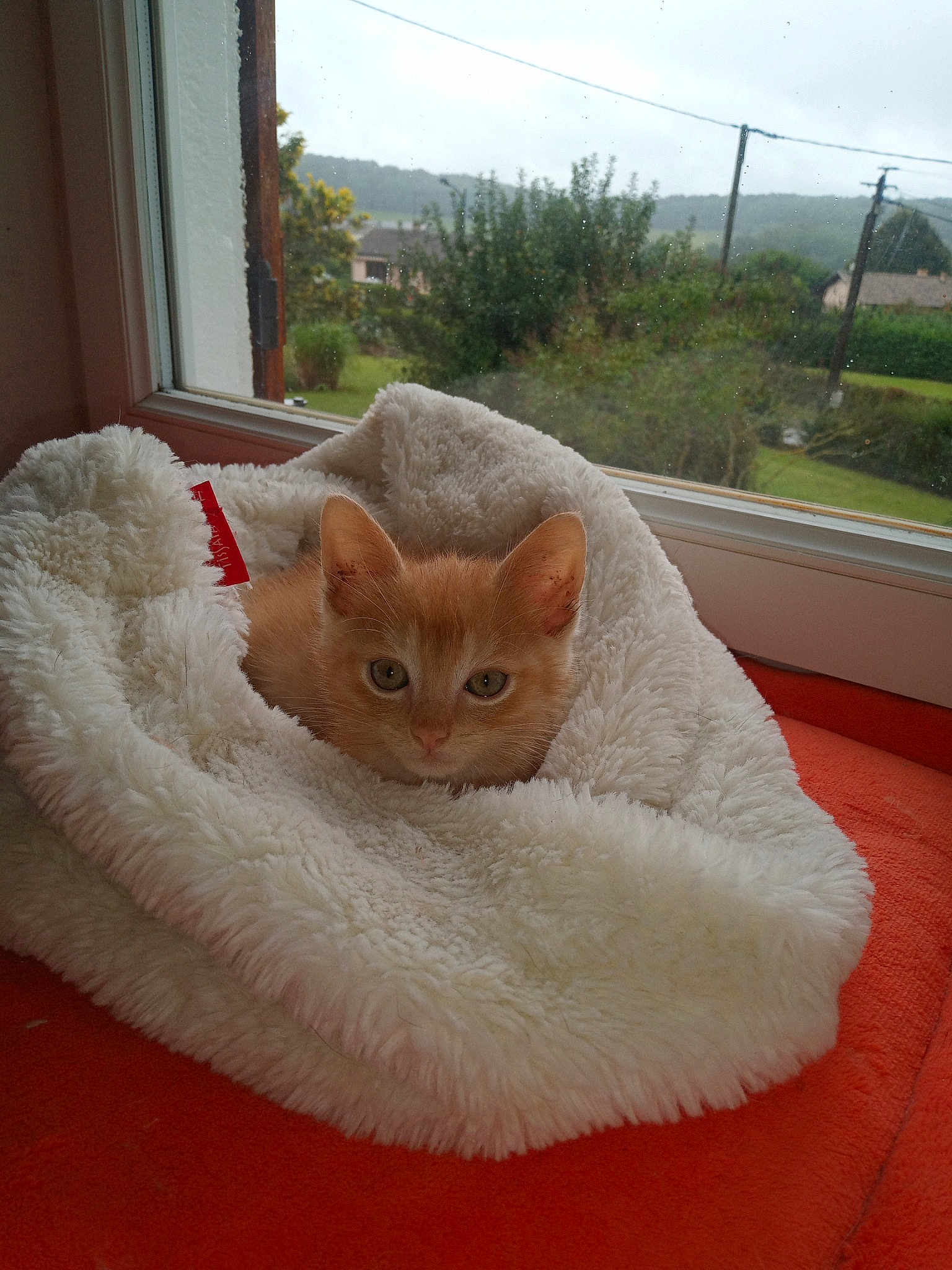 Croquette