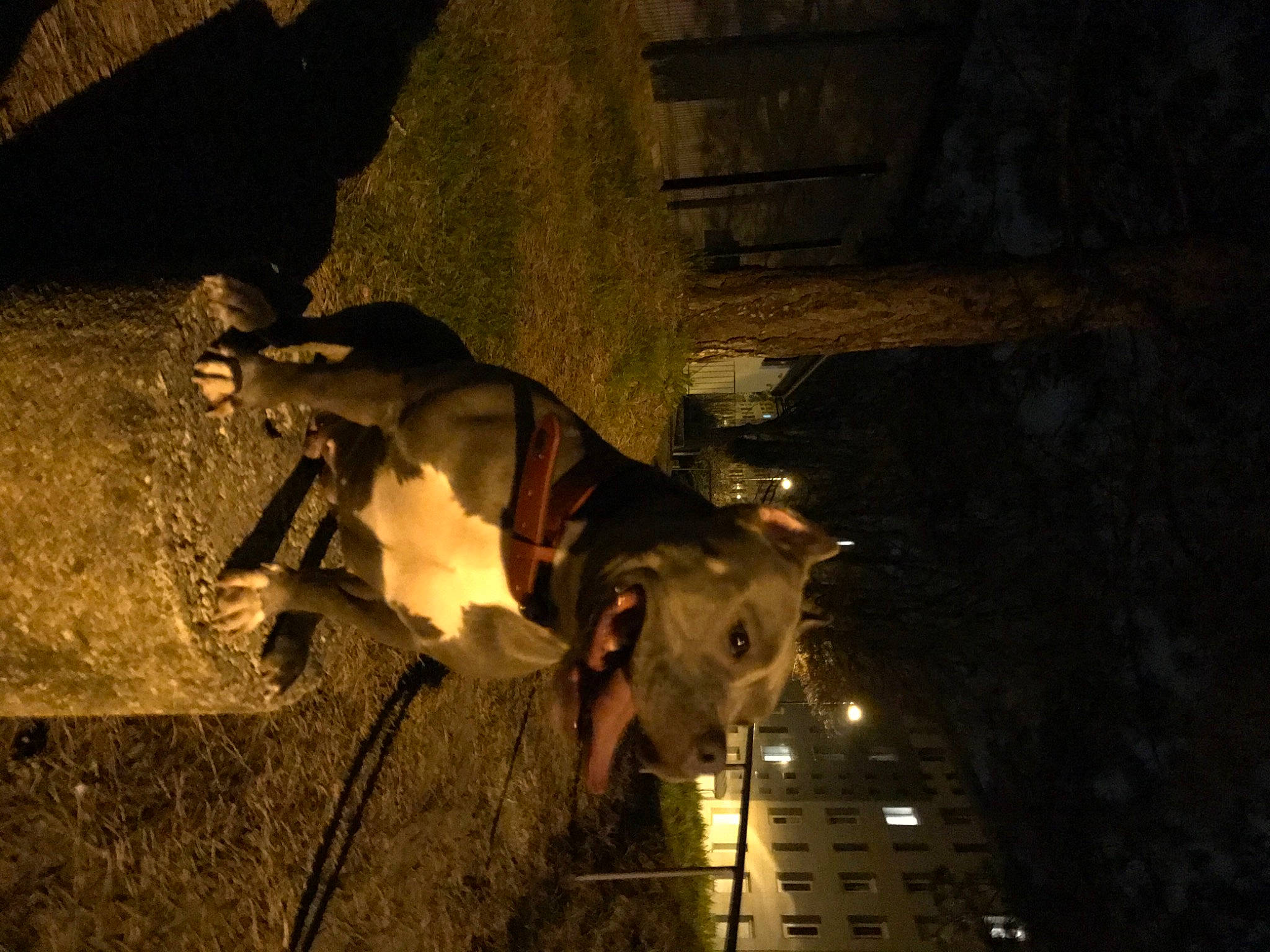 Pin-up a rejoint le concours — aidez-le/la à gagner de superbes lots ! art, cg_artwork, darkness, fictional_character, flash_photography, heat, midnight, night, pc_game, religious_item, shadow, tints_and_shades, umbrella, visual_arts, wood