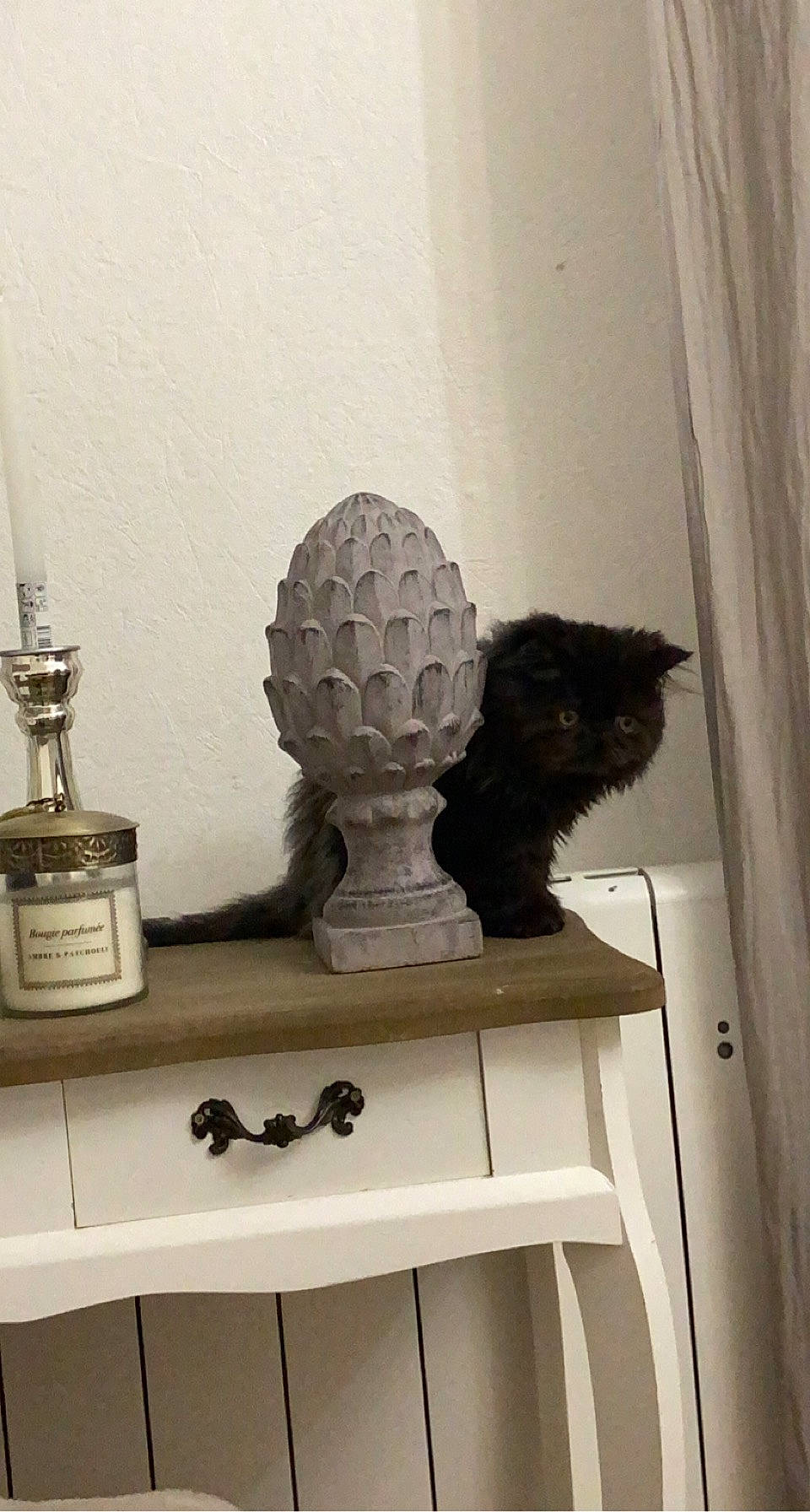 Oscar participe au concours pour gagner de l'argent avec cette photo : antique, artifact, ceiling, ceramic, curtain, glass, hardwood, lamp, lampshade, light_fixture, metal, rectangle, room, serveware, shelf, shelving, still_life_photography, table, tints_and_shades, wood