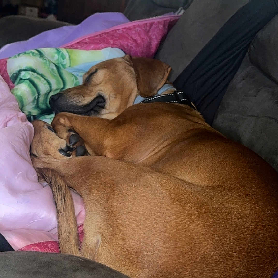 Max