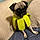 Priscilla Pugsly