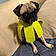 Priscilla Pugsly