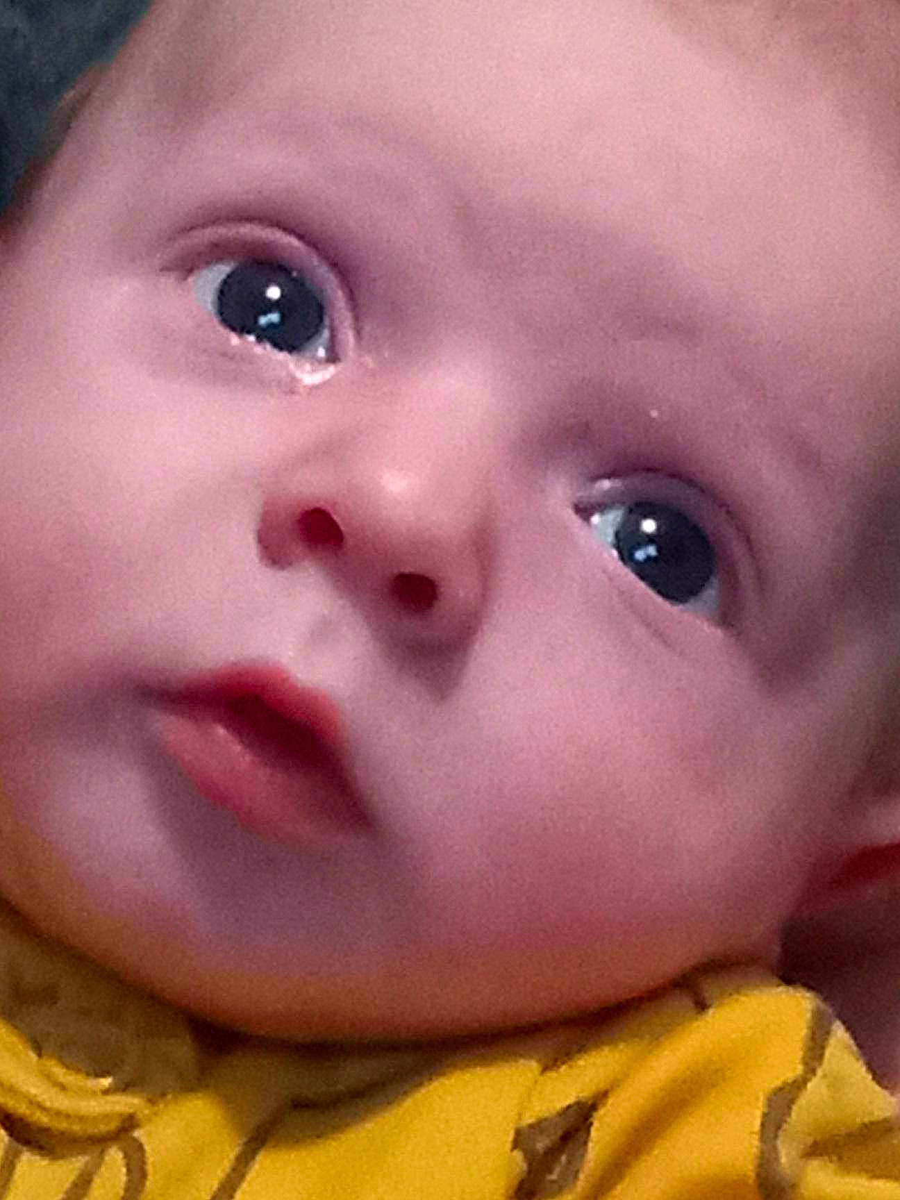 Chase joined the competition — help win amazing prizes! baby, beauty, cheek, child, chin, cool, ear, eye, eyebrow, eyelash, forehead, happy, human_body, iris, lip, mouth, nose, person, skin, smile