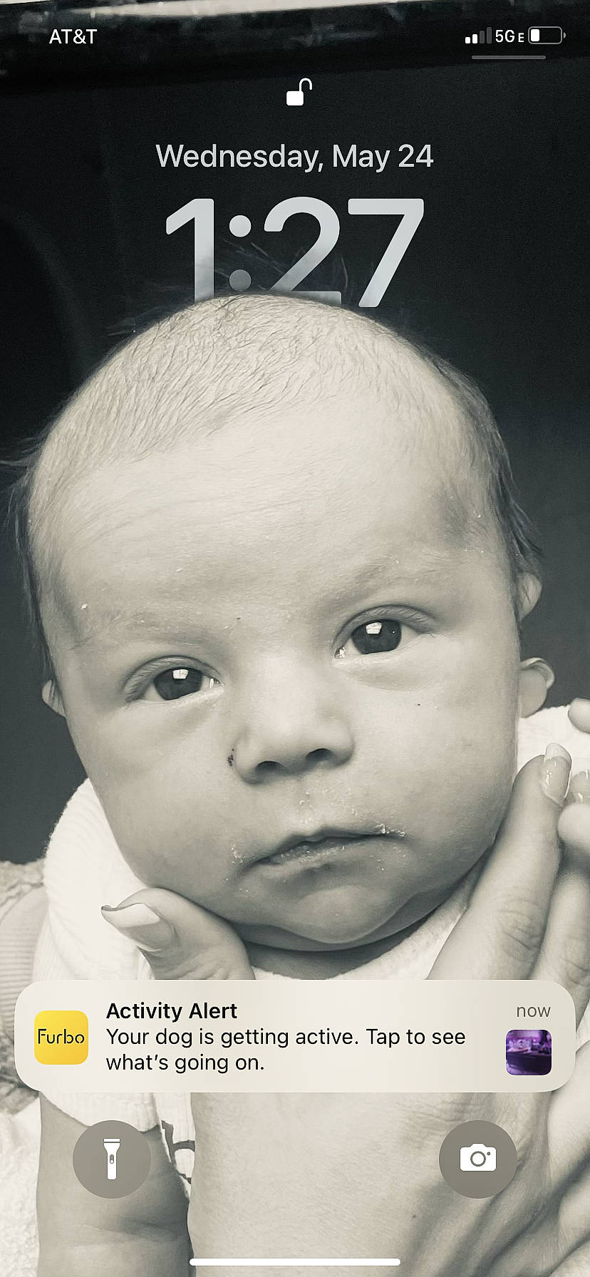 Isaac joined the competition — help win amazing prizes! baby, baby_toddler_clothing, cheek, child, chin, close_up, ear, eyebrow, eyelash, flash_photography, font, forehead, happy, iris, monochrome, nose, person, photo_caption, poster, skin