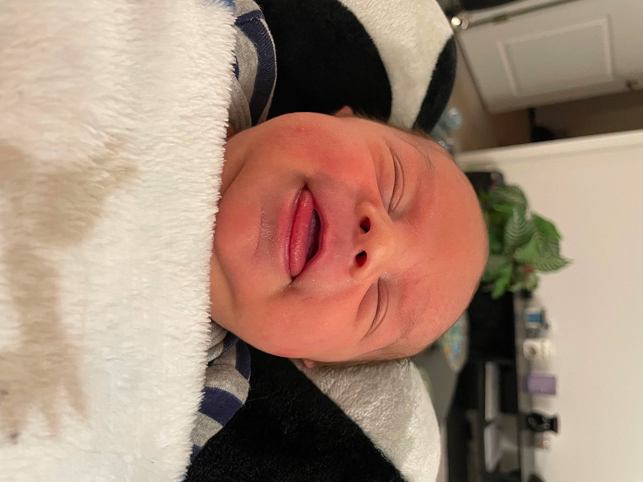 Isaac is registered to the contest to win money with this photo: baby, cheek, child, comfort, ear, eye, eyebrow, eyelash, face, happy, head, jaw, linens, lip, neck, nose, person, smile, toddler, tree