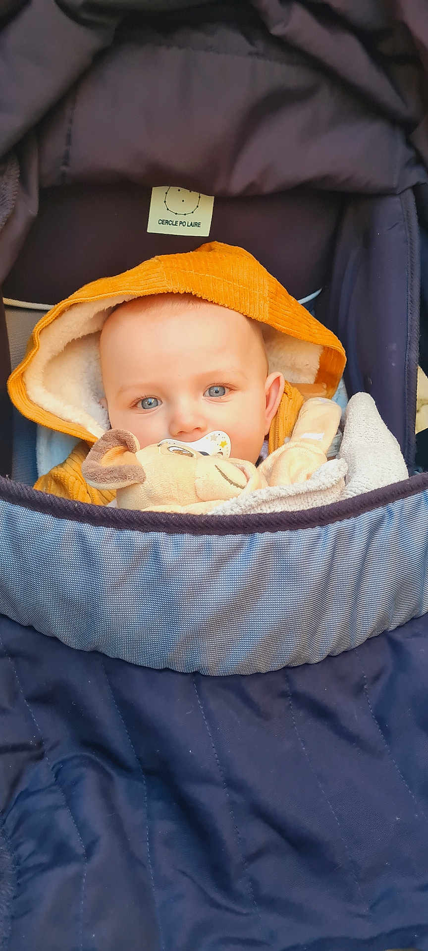Arthur participe au concours pour gagner de l'argent avec cette photo : baby, infant, child, stroller, hood, hooded_jacket, pacifier, plush_toy, blue_eyes, blanket, cozy, closeup, portrait, seat, canopy, label_tag, soft_toy, warm_clothing, fair_skin, expression
