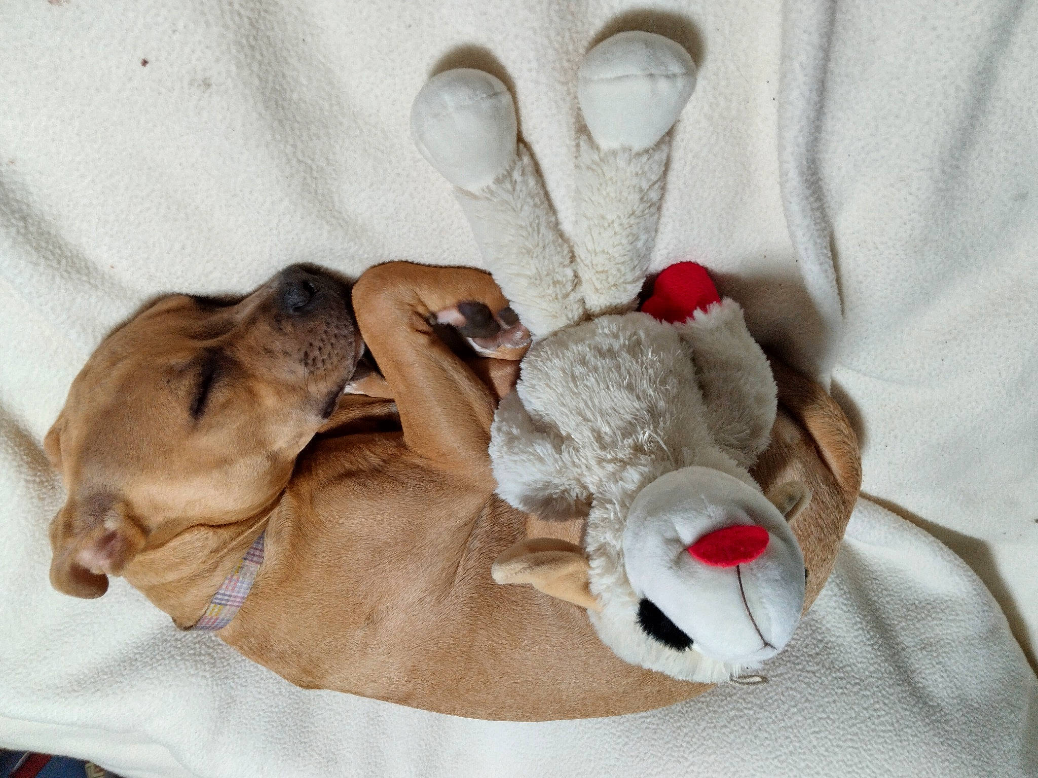Mini-me
