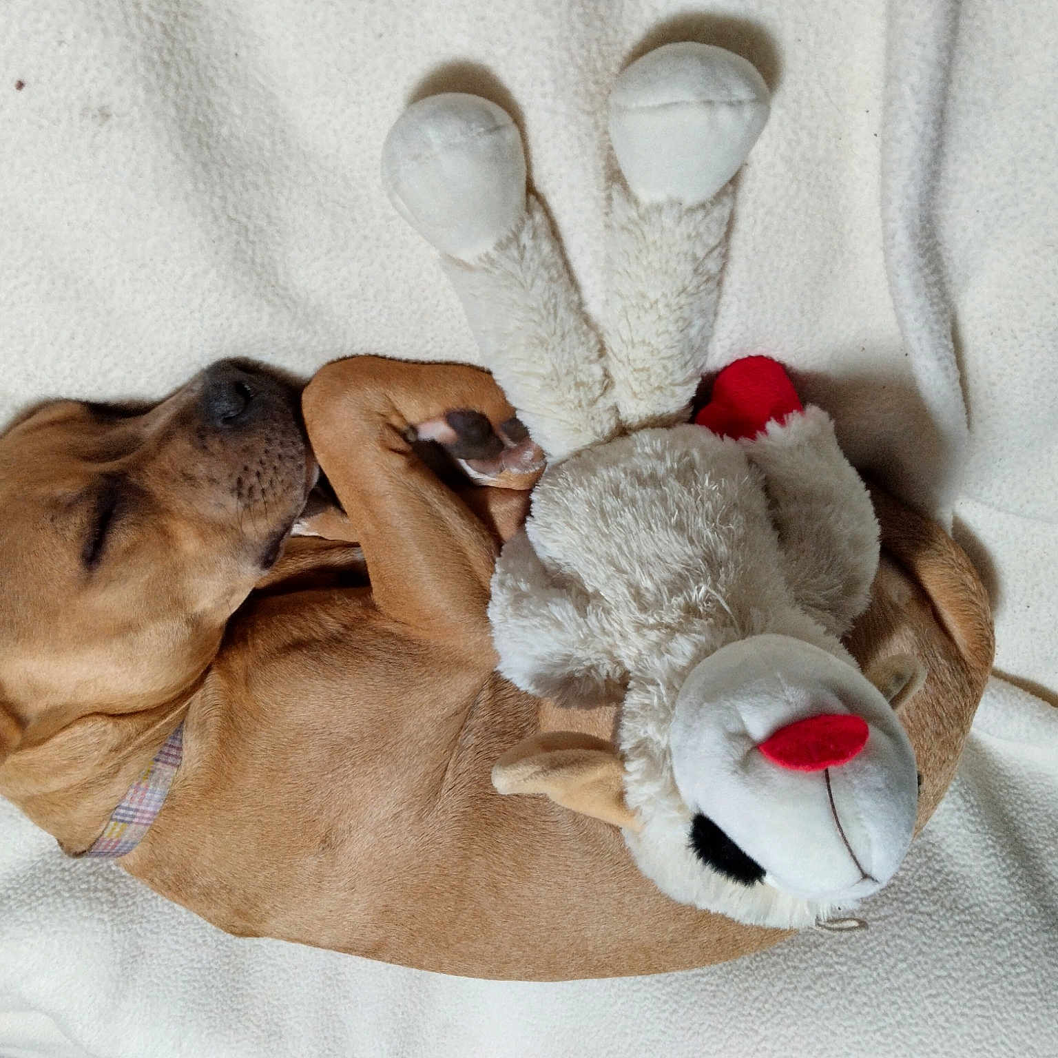 Mini-me