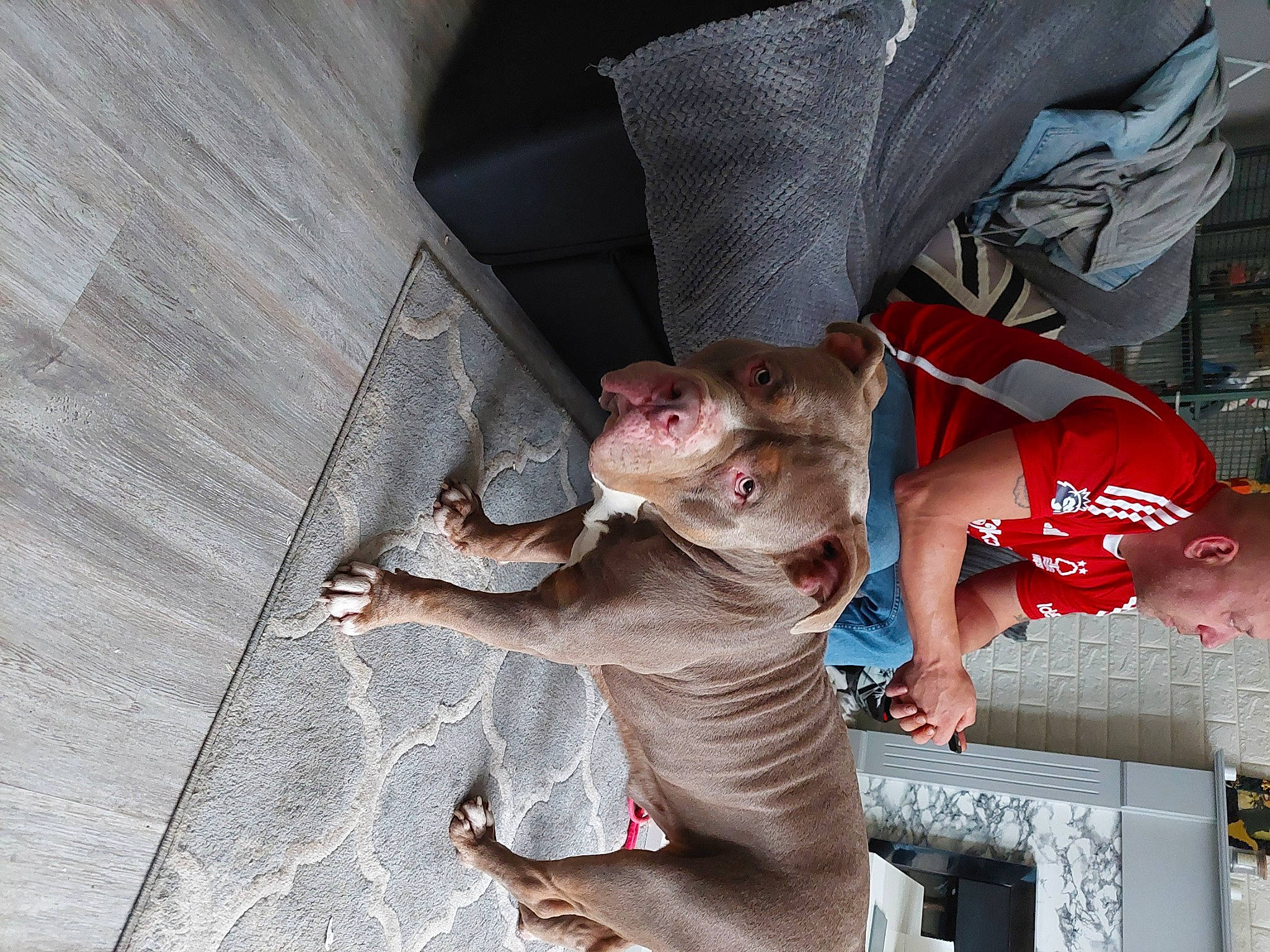 Gunner joined the competition — help win amazing prizes! baby, child, flesh, fun, fur, gesture, hand, smile, toddler, tree, water, wood