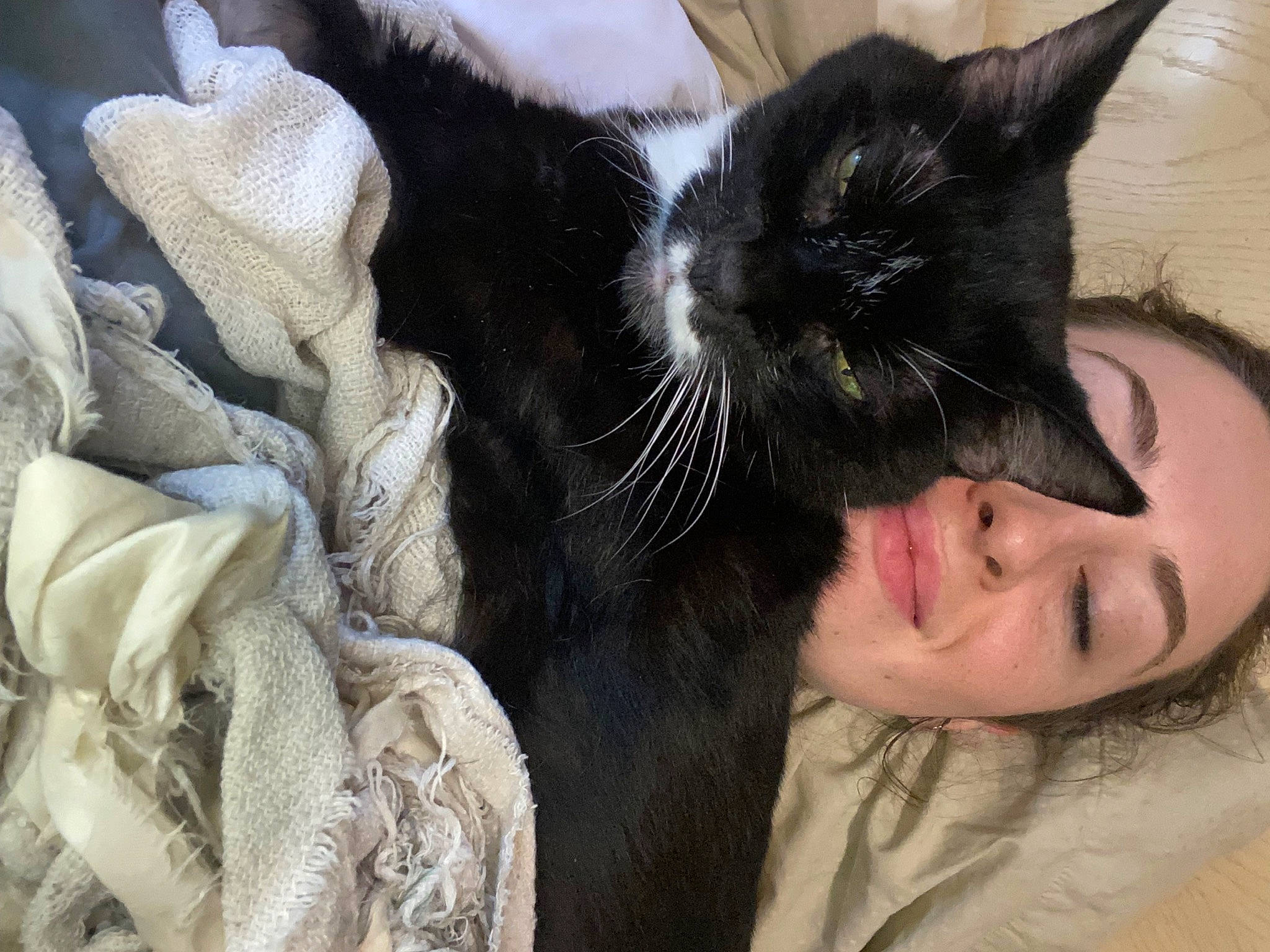 Oreo is registered to the contest to win money with this photo: beard, carnivore, cat, claw, comfort, domestic_short_haired_cat, ear, felidae, fur, gesture, iris, nap, nose, paw, small_to_medium_sized_cats, snout, tail, textile, tree, whiskers