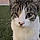 Kiteez