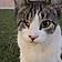 Kiteez