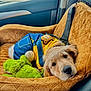 golden_retriever, puppy, dog, denim_overalls, yellow_shirt, plush_toy, green_toy, car_interior, car_seat_cover, seat_belt, brown_texture, cute, pet, animal, relaxed, cozy, portrait, indoor, soft_fur, companion