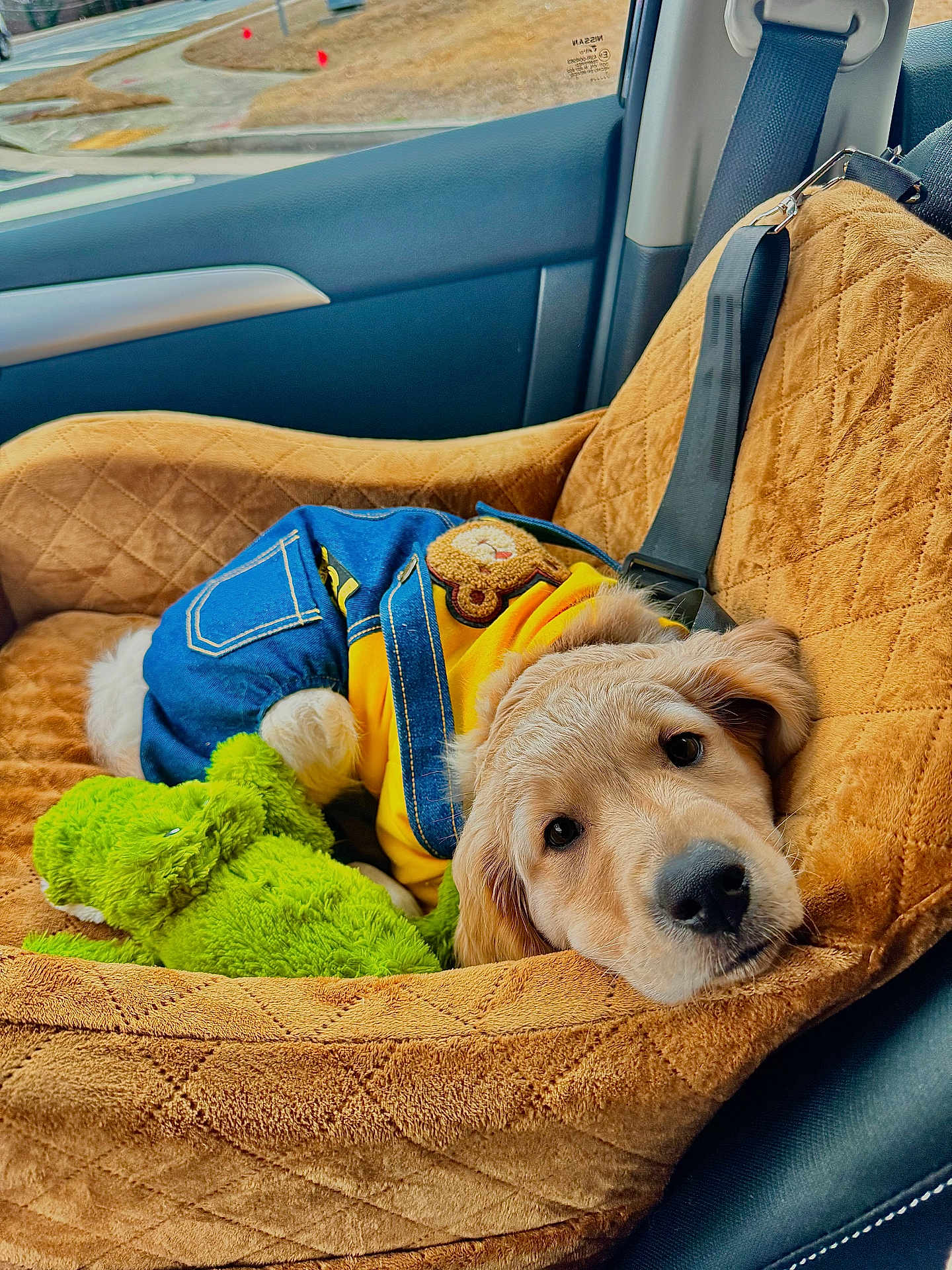 Pickles joined the competition — help win amazing prizes! golden_retriever, puppy, dog, denim_overalls, yellow_shirt, plush_toy, green_toy, car_interior, car_seat_cover, seat_belt, brown_texture, cute, pet, animal, relaxed, cozy, portrait, indoor, soft_fur, companion