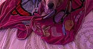 Pickles joined the competition — help win amazing prizes! animal, bed, blanket, comfort, cozy, cute, dog, fur, golden_retriever, indoor, looking_at_camera, pet, pillow, pink_light, puppy, purple_light, resting, soft_texture, textured_bedspread, wrapped