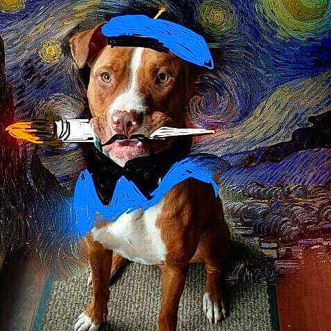 Van Gogh joined the competition — help win amazing prizes! art, beard, bovine, canidae, carnivore, dog_breed, drawing, fawn, hat, illustration, liver, livestock, paint, painting, recreation, snout, sporting_group, visual_arts, watercolor_paint, working_animal