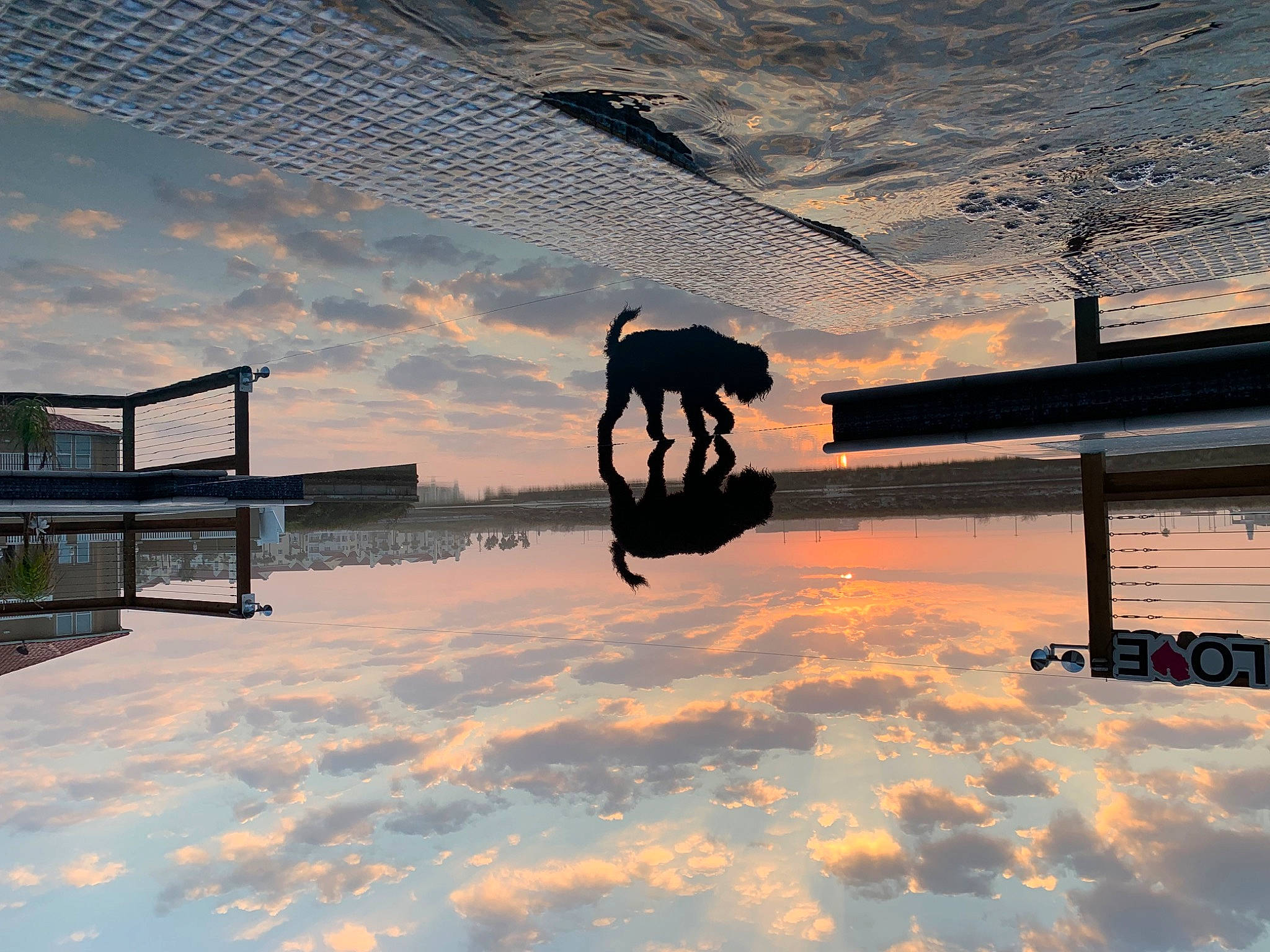 Jim is registered to the contest to win money with this photo: afterglow, body_of_water, calm, cloud, dusk, freezing, horizon, landscape, reflection, sky, sunlight, sunrise, sunset, tints_and_shades, tree, vehicle, water, wheel, winter, working_animal