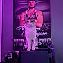 Oscar is registered to the contest to win money with this photo: animal, background, box, cat, decor, expression, feline, furniture, indoor, man, pet, photography, portrait, poster, purple_light, room, serious, sitting, wall, wrestling