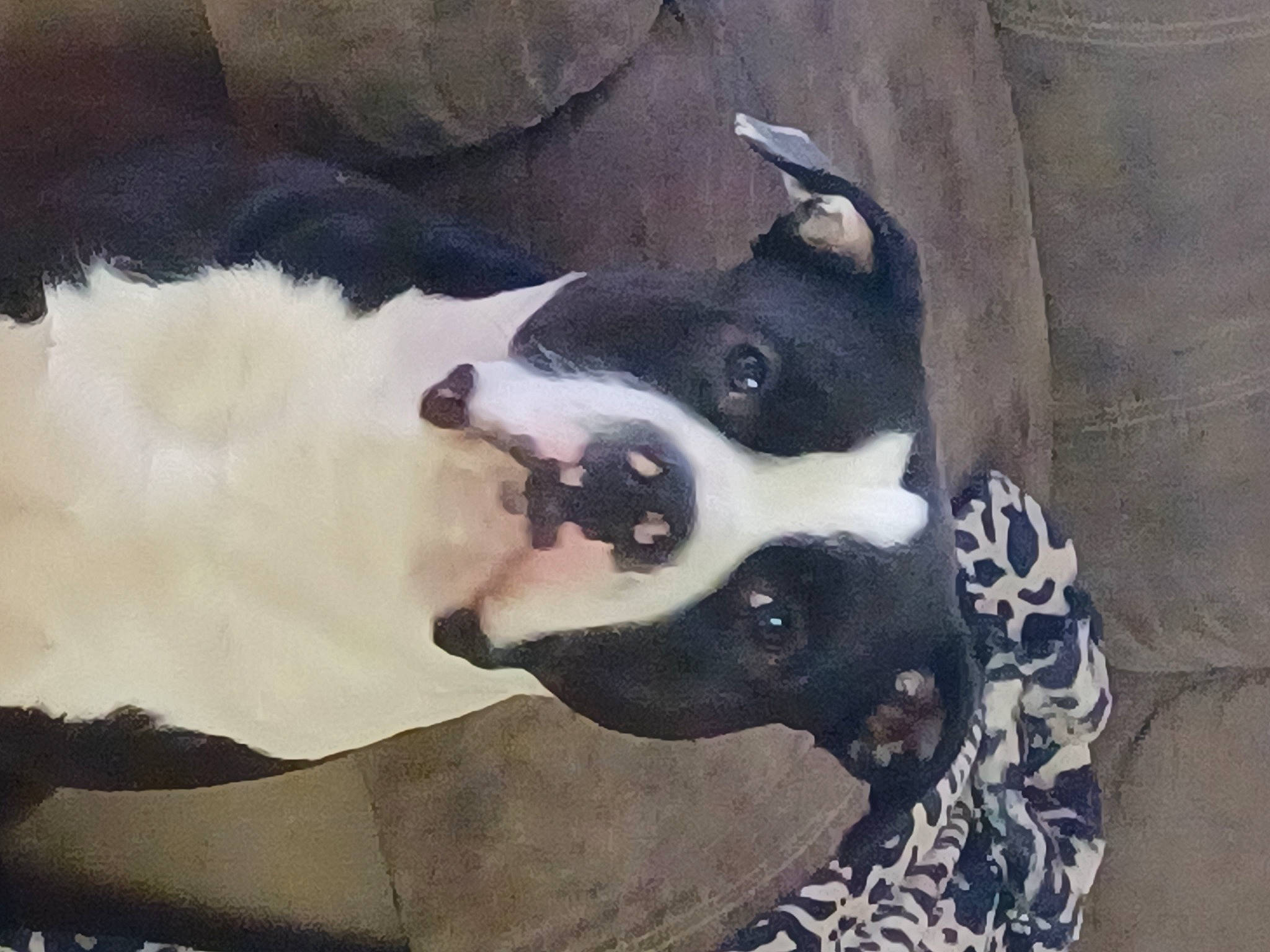 Hercules joined the competition — help win amazing prizes! art, canidae, carnivore, cloud, companion_dog, dog, dog_breed, fawn, fur, paint, painting, paw, snout, sporting_group, tail, terrestrial_animal, tints_and_shades, visual_arts, whiskers, working_animal