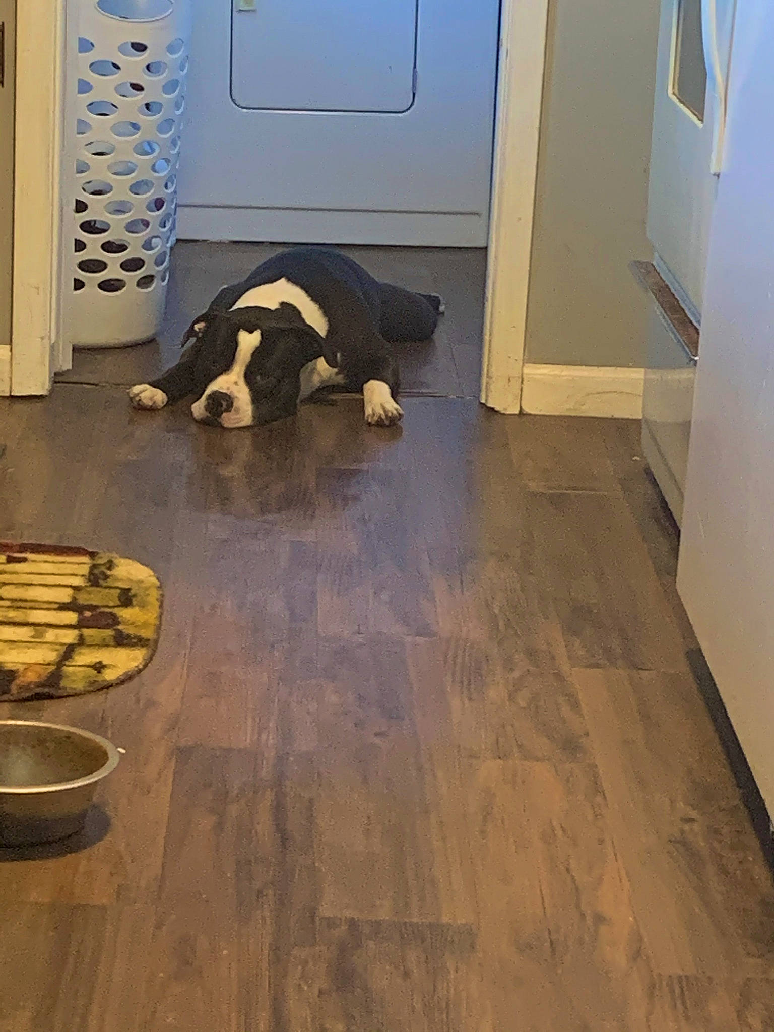 Hercules is registered to the contest to win money with this photo: carpet, ceiling, comfort, door, floor, flooring, hardwood, human_leg, laminate_flooring, living_room, plywood, road_surface, room, tile, tile_flooring, varnish, visual_arts, wood, wood_flooring, wood_stain