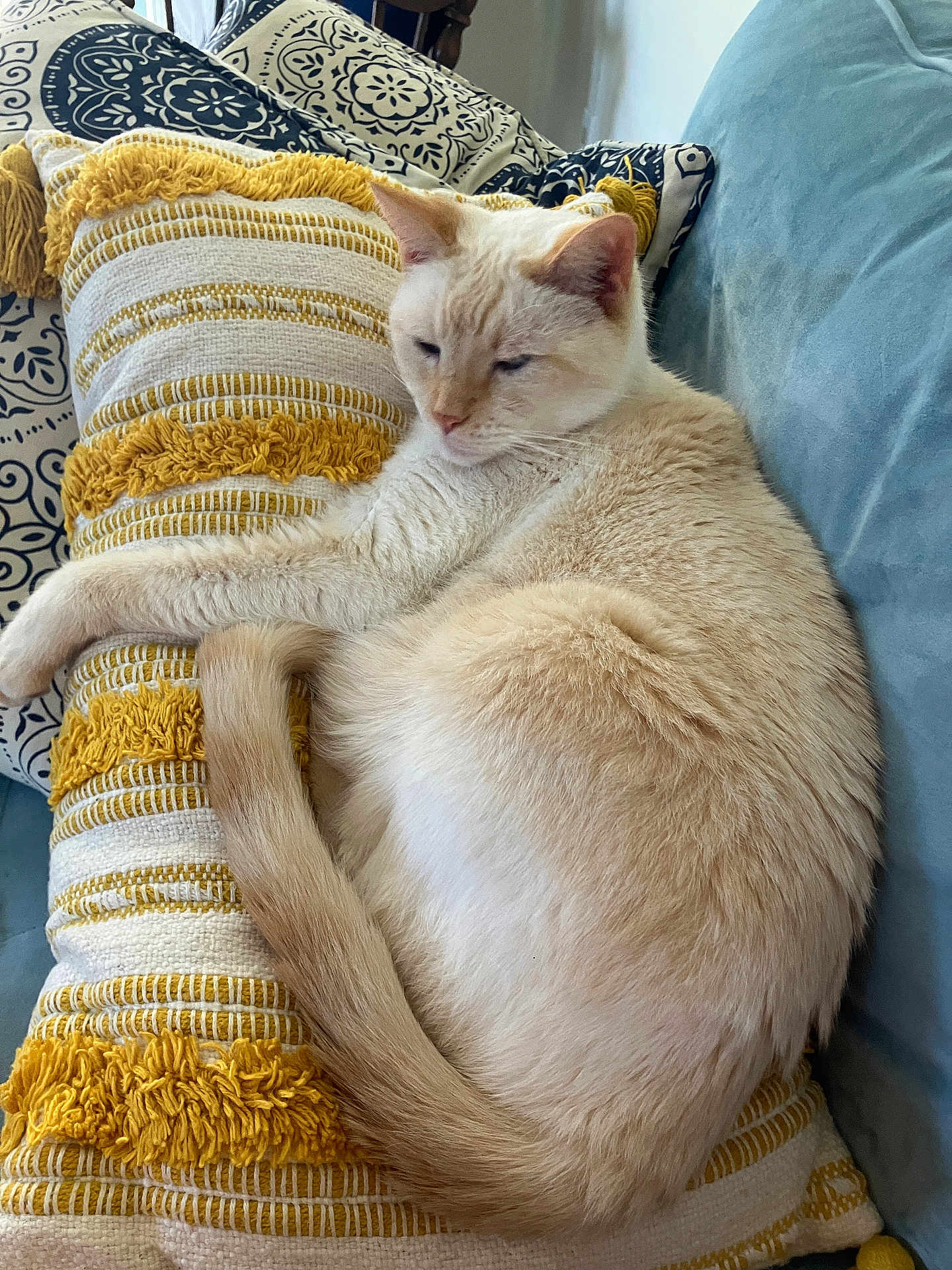 Leo