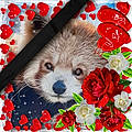 Lilou G.