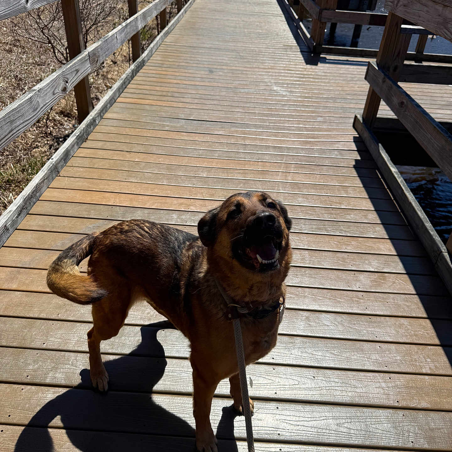 Max