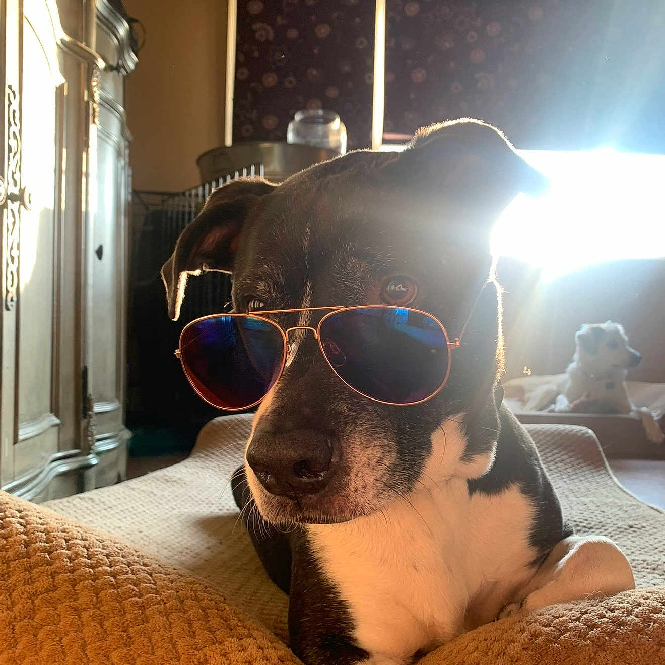 Spike