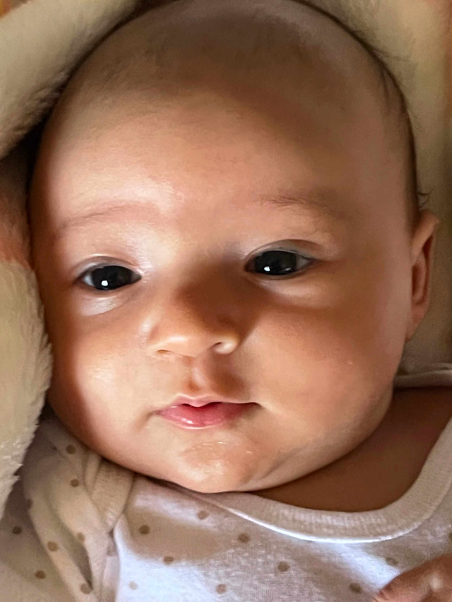 Ariely is registered to the contest to win money with this photo: baby, close_up, face, infant, eyes, skin, blanket, clothing, portrait, newborn, cute, adorable, head, young_child, soft_light, indoor, peaceful, expression, human, babywear