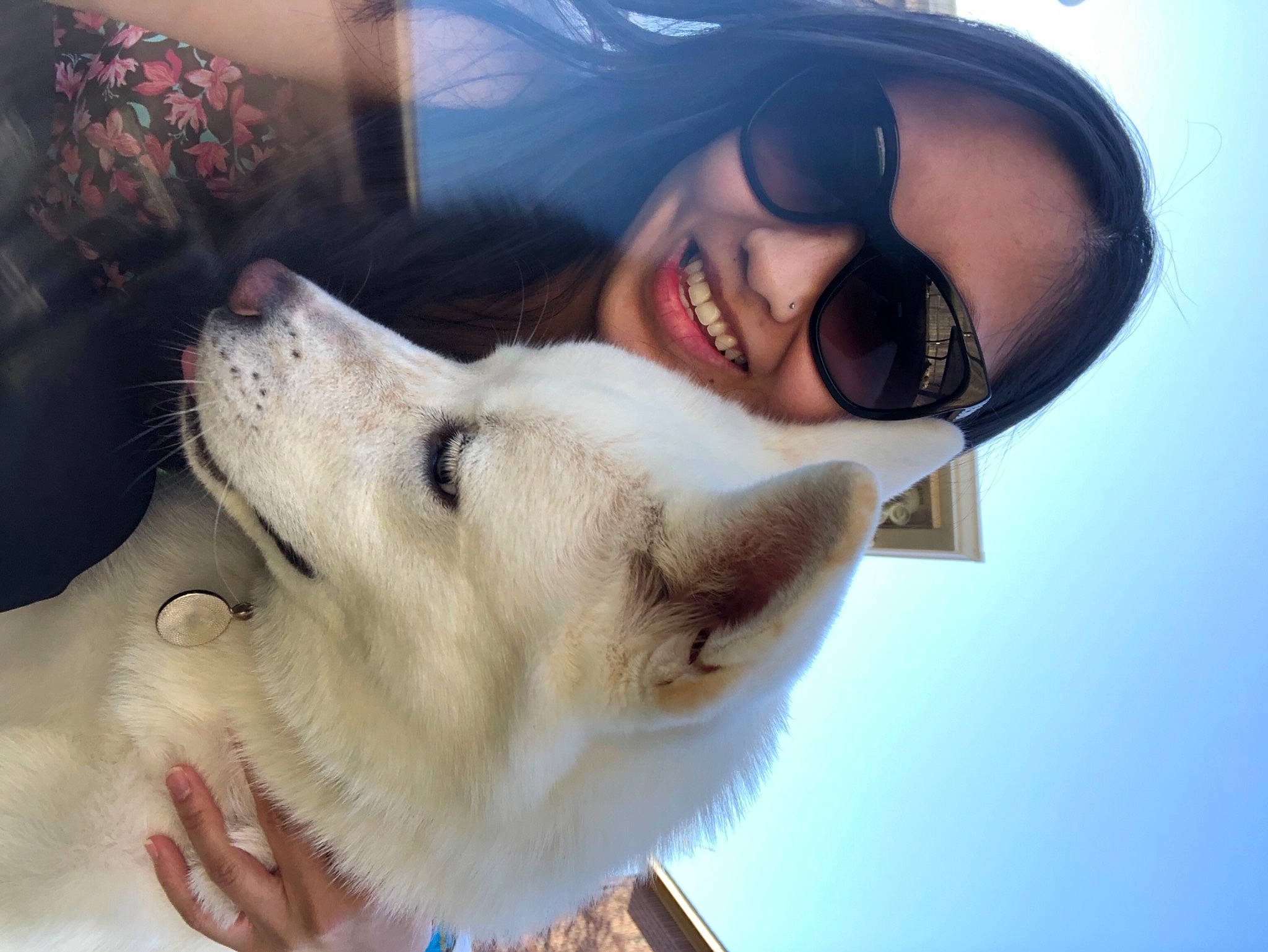 Anakin is registered to the contest to win money with this photo: carnivore, companion_dog, dog, dog_breed, eyewear, fawn, gesture, glasses, goggles, happy, houseplant, jaw, nose, sky, smile, snout, spitz, sunglasses, vision_care, whiskers