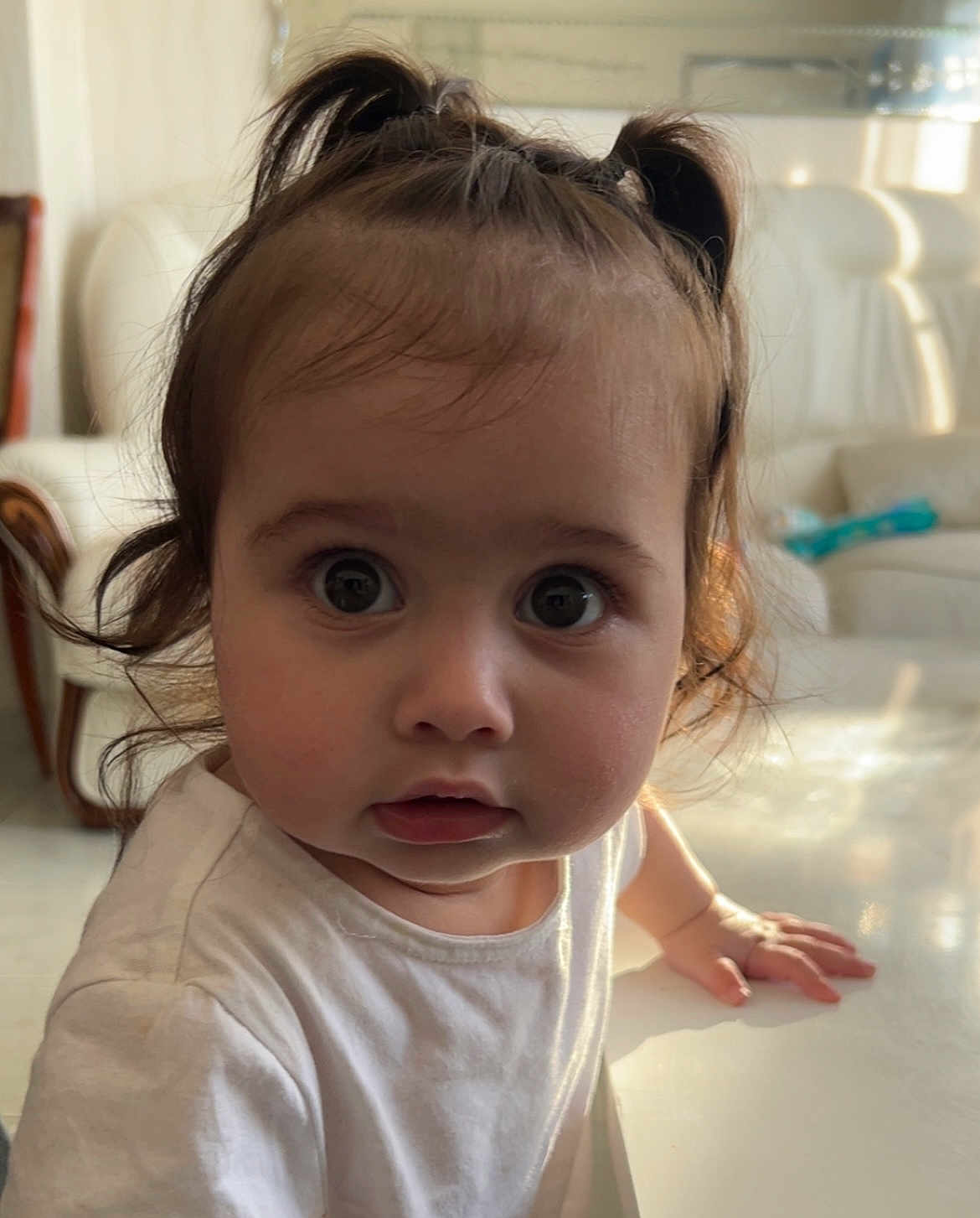 Délilah a rejoint le concours — aidez-le/la à gagner de superbes lots ! baby, child, curious, cute, expression, eyes, face, hair, hand, indoor, living_room, person, pigtails, portrait, skin, sofa, table, toddler, white_shirt, young_child
