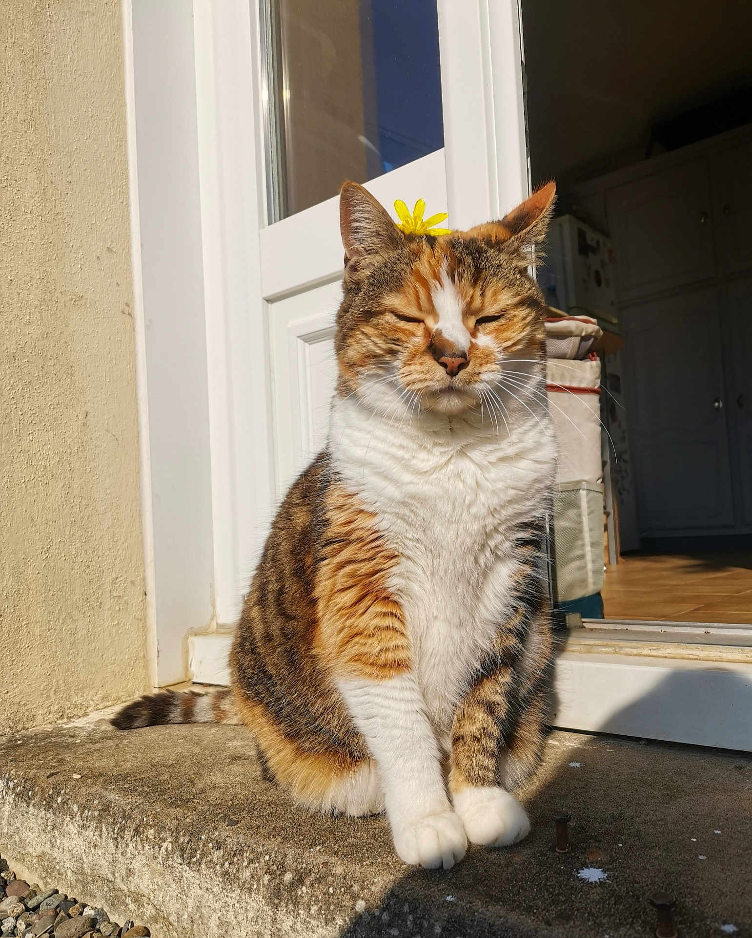 Kiki
