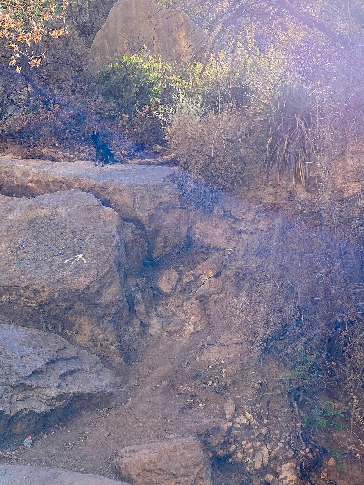 Atlas is registered to the contest to win money with this photo: bedrock, bog, creek, formation, grass, hill, landscape, natural_landscape, outcrop, plant, reflection, riparian_zone, rock, shadow, sky, soil, stream, tints_and_shades, watercourse, wildlife