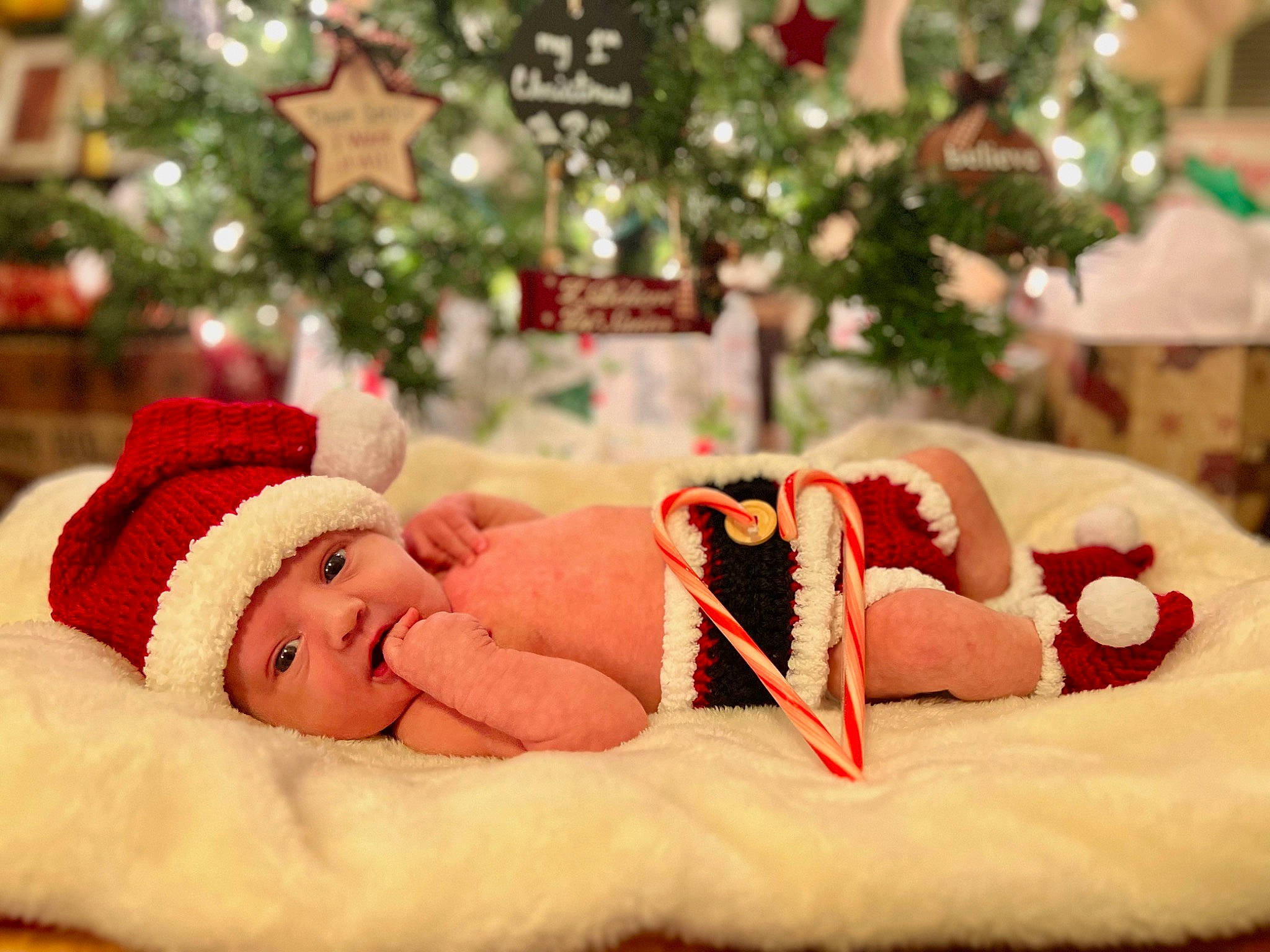Kaston joined the competition — help win amazing prizes! baby, baby_toddler_clothing, carmine, christmas, christmas_decoration, christmas_eve, christmas_tree, comfort, event, fur, happy, hat, headwear, holiday, human_body, interior_design, ornament, person, sweetness, toddler