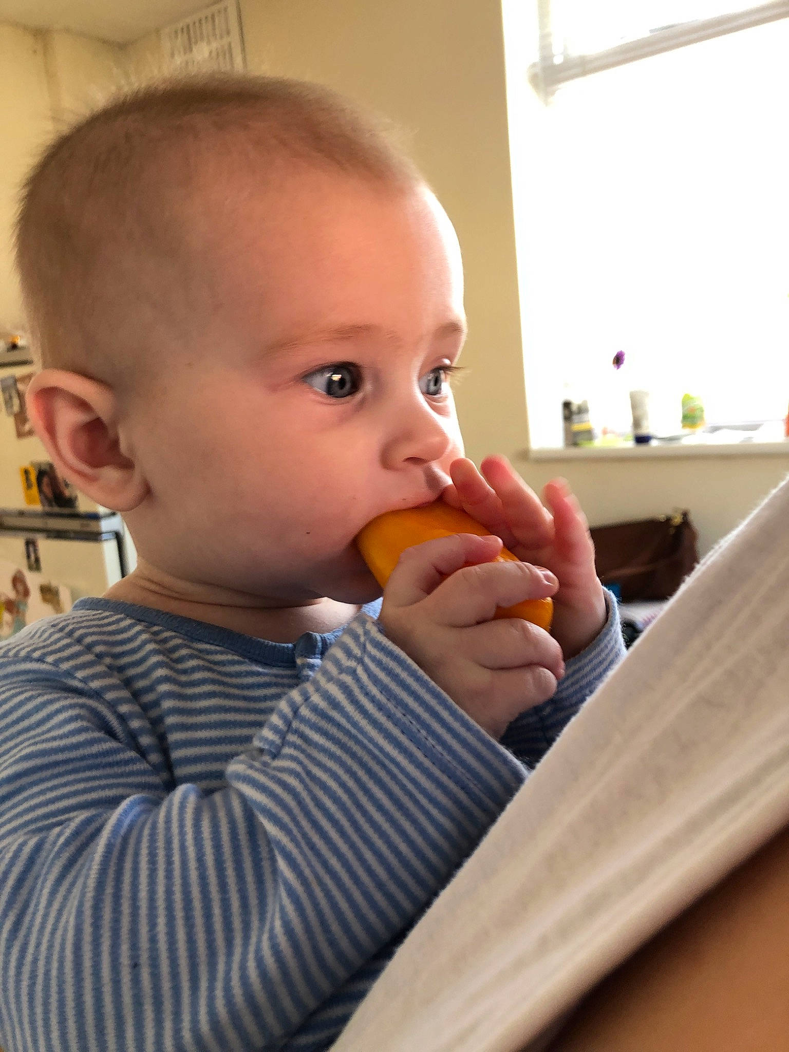 Lacie joined the competition — help win amazing prizes! baby, baby_food, biting, child, eating, food, nose, person, toddler