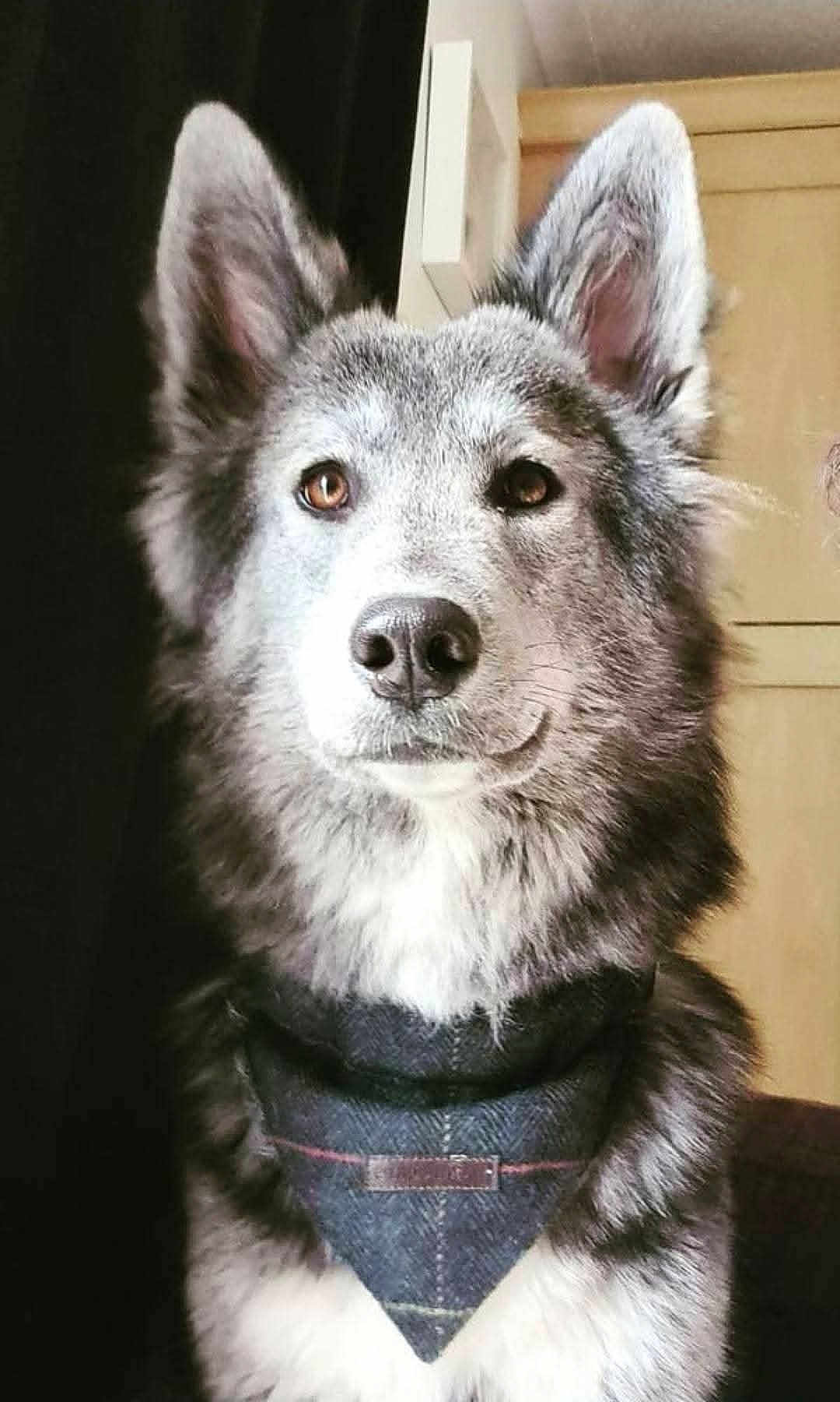 Lucy