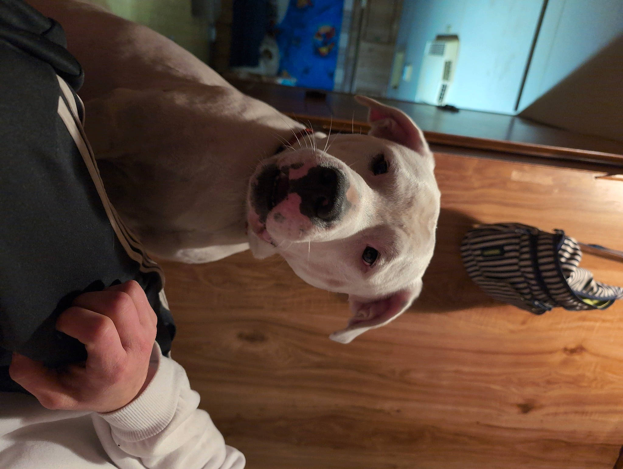 George Washington Thompson