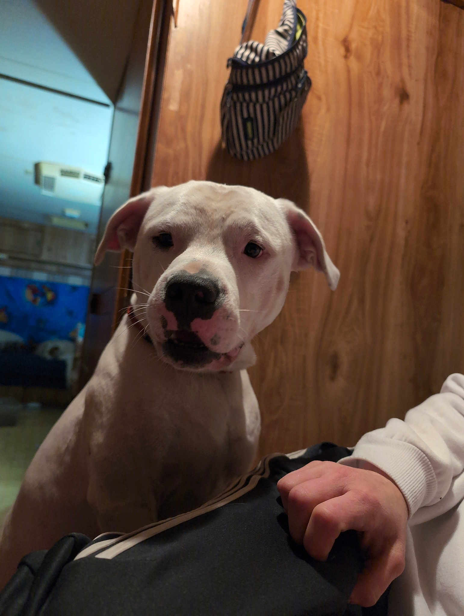 George Washington Thompson