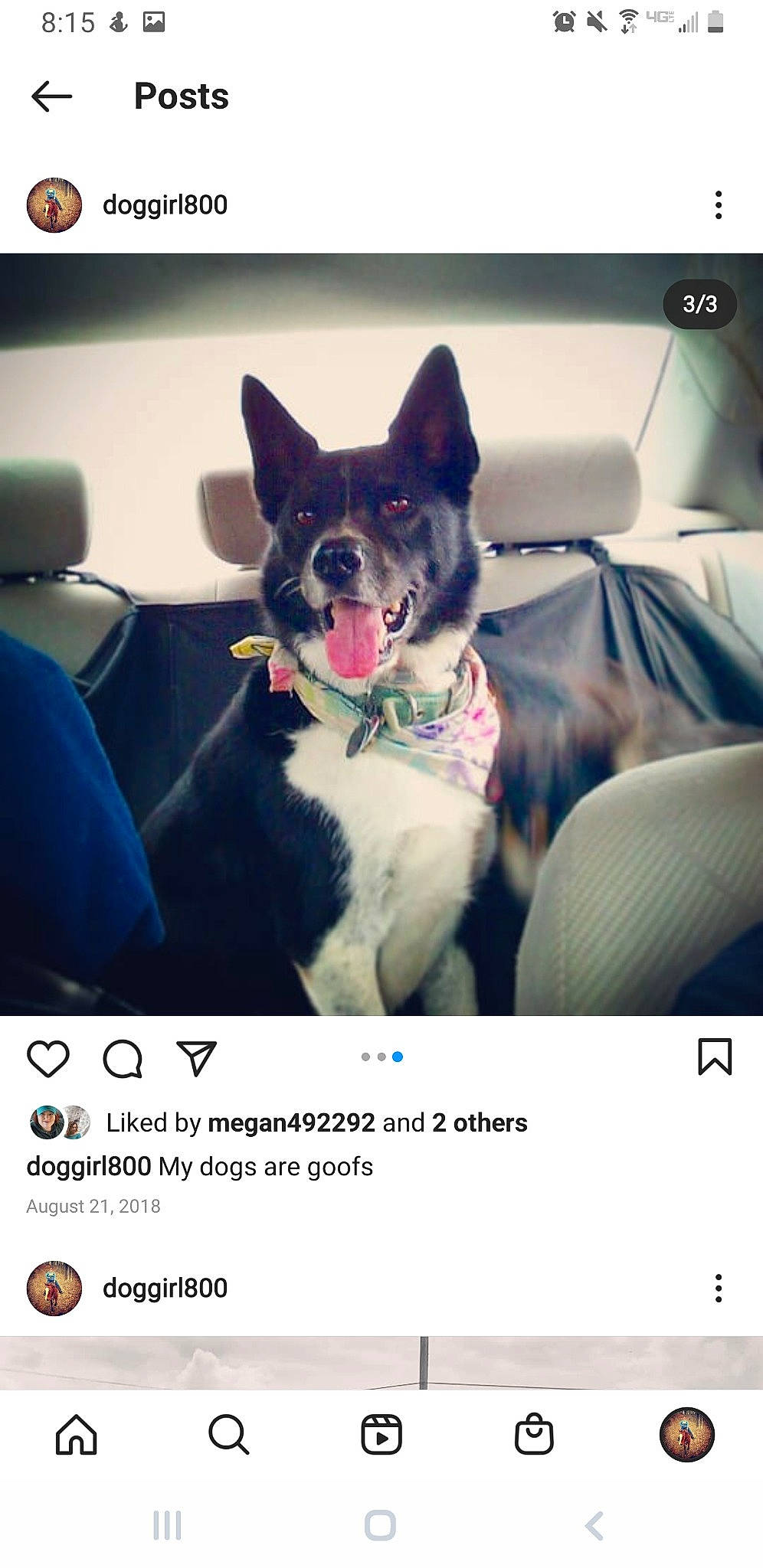 Aqua joined the competition — help win amazing prizes! car, car_seat, car_seat_cover, carnivore, collar, comfort, companion_dog, dog, dog_breed, eyewear, font, light, organism, photo_caption, photograph, product, snapshot, snout, technology, vehicle_door