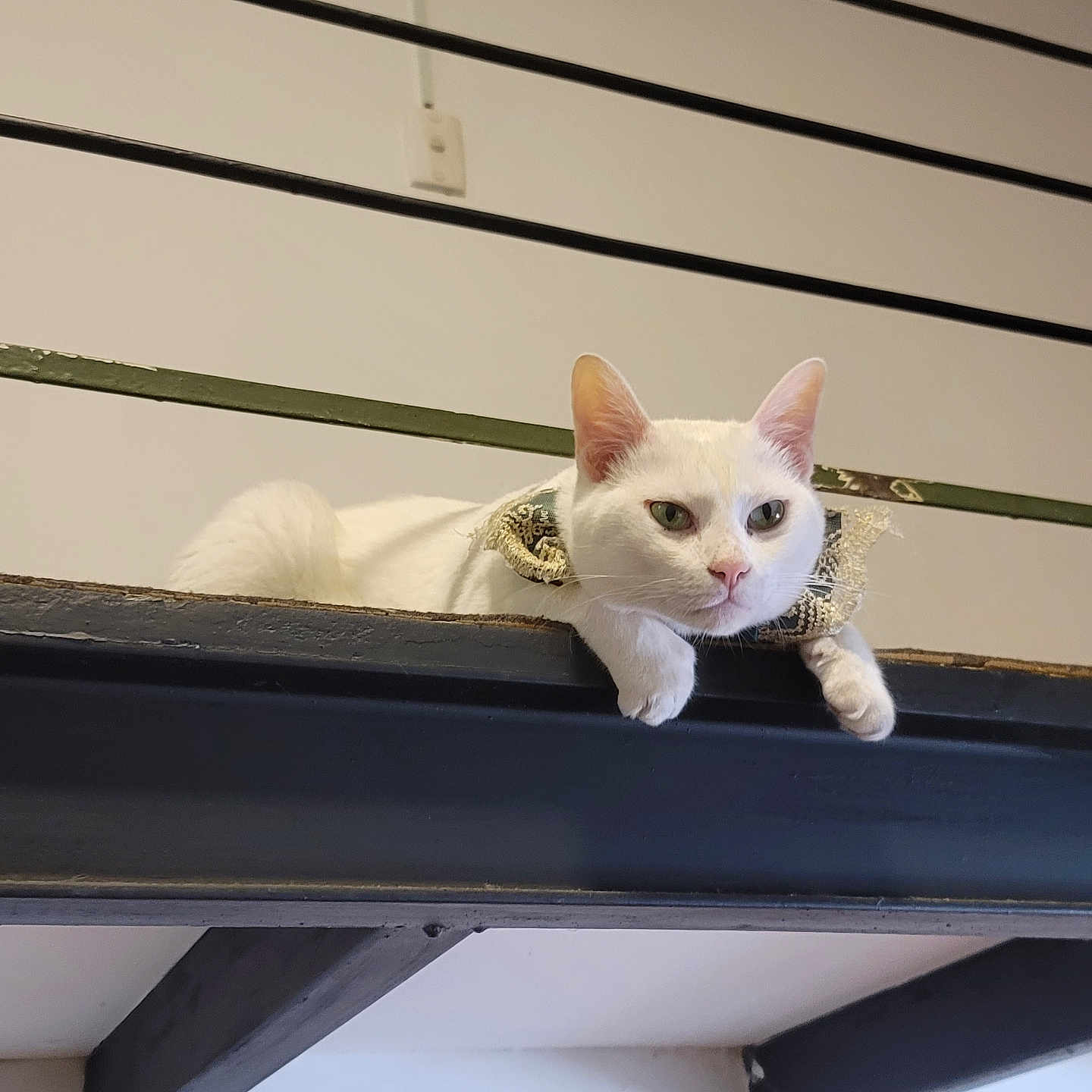 Snowie