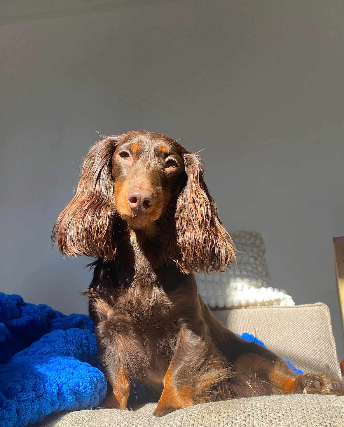 Rosie