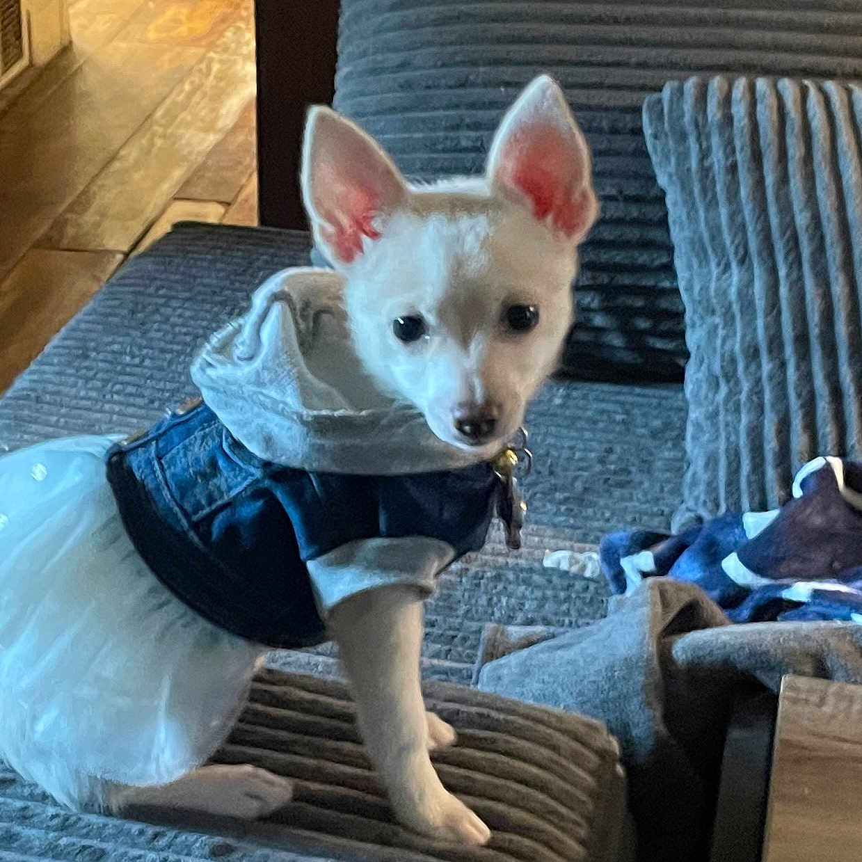 Peanut