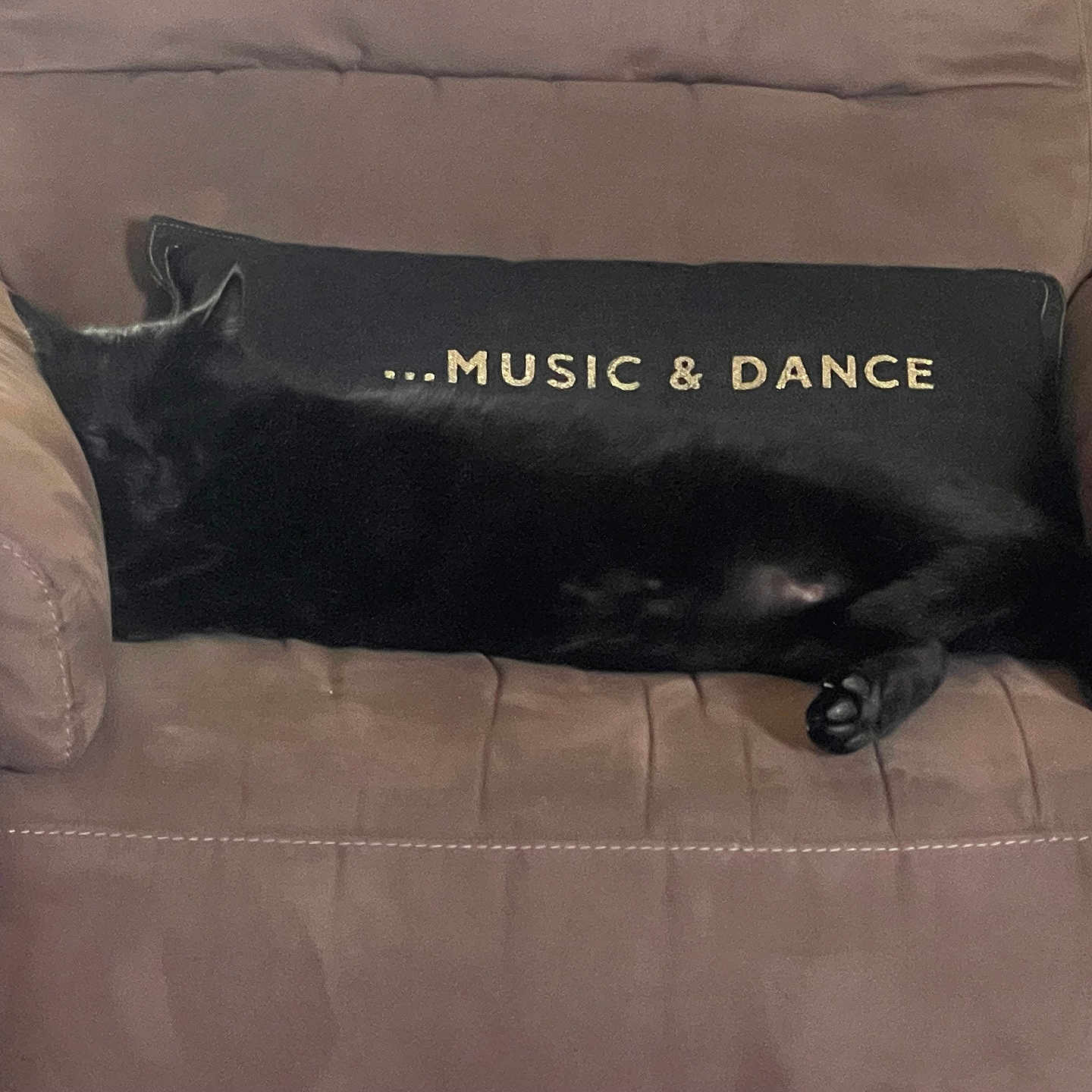 Doudou participe au concours pour gagner de l'argent avec cette photo : animal, armchair, beige, black_cat, cat, cozy, cute, domestic, fabric, furniture, home, indoor, pet, pillow, quiet, relaxation, resting, sleeping, soft, text_on_pillow