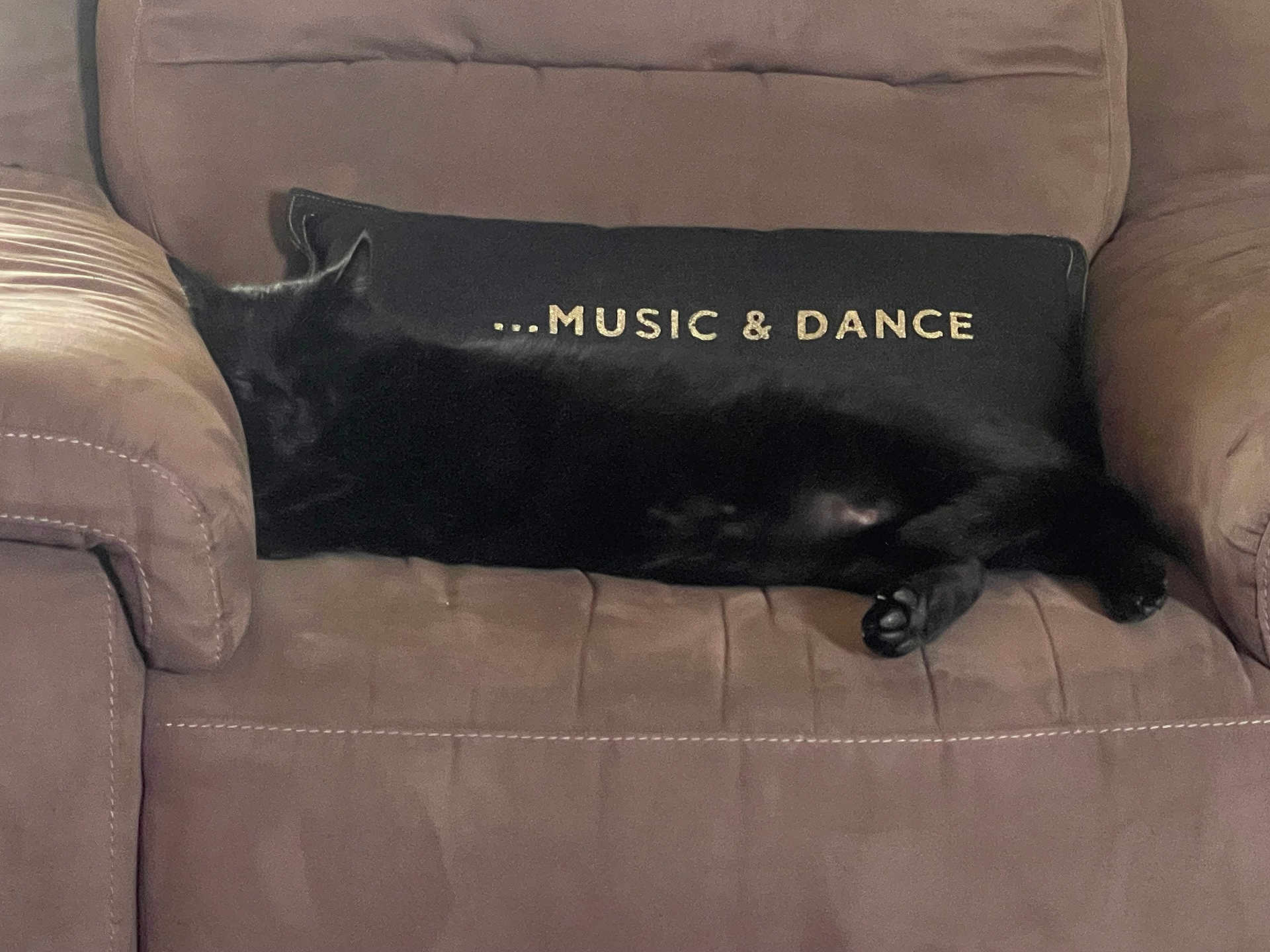 Doudou participe au concours pour gagner de l'argent avec cette photo : black_cat, cat, pillow, armchair, furniture, indoor, pet, sleeping, resting, cozy, beige, fabric, text_on_pillow, animal, cute, relaxation, home, quiet, domestic, soft