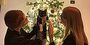 Bouh participe au concours pour gagner de l'argent avec cette photo : black_and_white_cat, cat, celebration, christmas_tree, cozy, decorations, festive, glasses, happy, holiday, indoor, lights, ornaments, people, sitting, smiling, together, tree_star, warm_lighting, young_adults