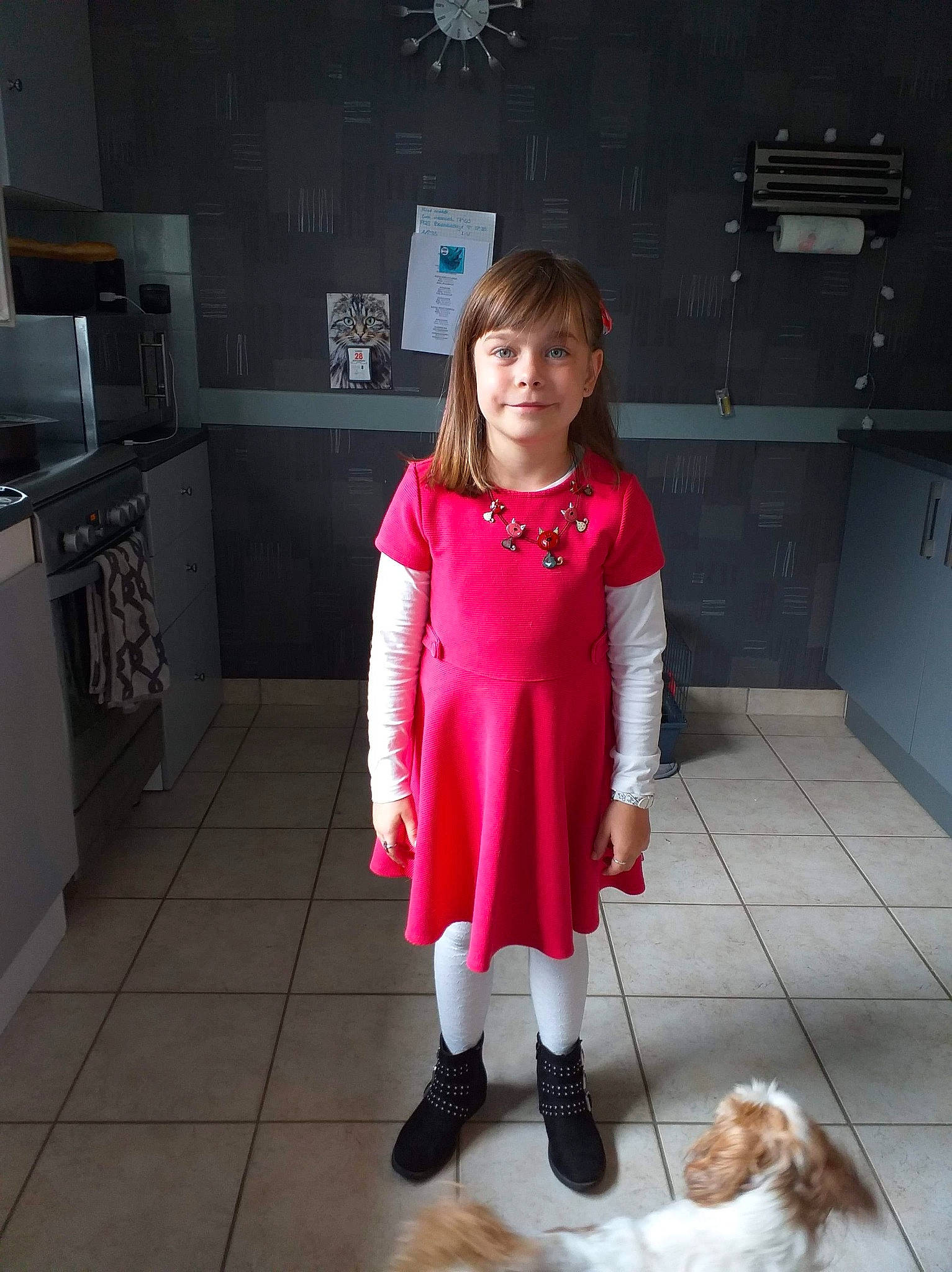 Kimberley participe au concours pour gagner de l'argent avec cette photo : boot, cabinetry, carnivore, companion_dog, countertop, dog, dress, fashion_design, floor, flooring, fun, human_body, human_leg, joint, joy, kitchen_appliance, person, skin, sleeve, standing