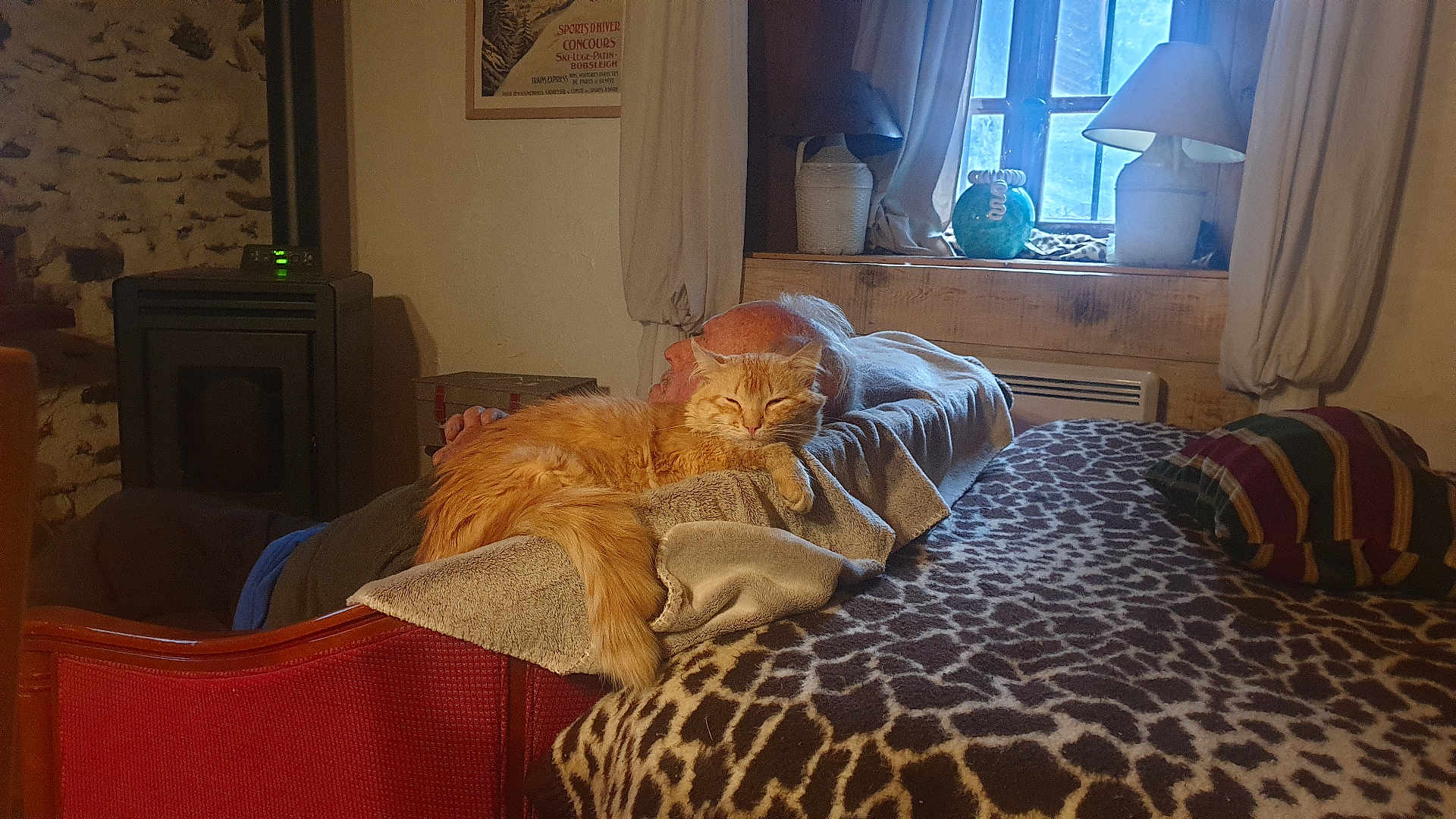Felix a rejoint le concours — aidez-le/la à gagner de superbes lots ! cat, person, indoor, cozy, blanket, window, curtains, lamp, stove, furniture, relaxing, ginger_cat, resting, bed, pillow, home, warm_lighting, wood, decor, sleeping_cat