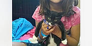 Paws is registered to the contest to win money with this photo: animal, bed, bedroom, black_and_white_cat, bracelet, casual_clothing, cat, child, collar, cross_legged, furniture, girl, headboard, indoor, pet, pink_shirt, shorts, sitting, smiling, young