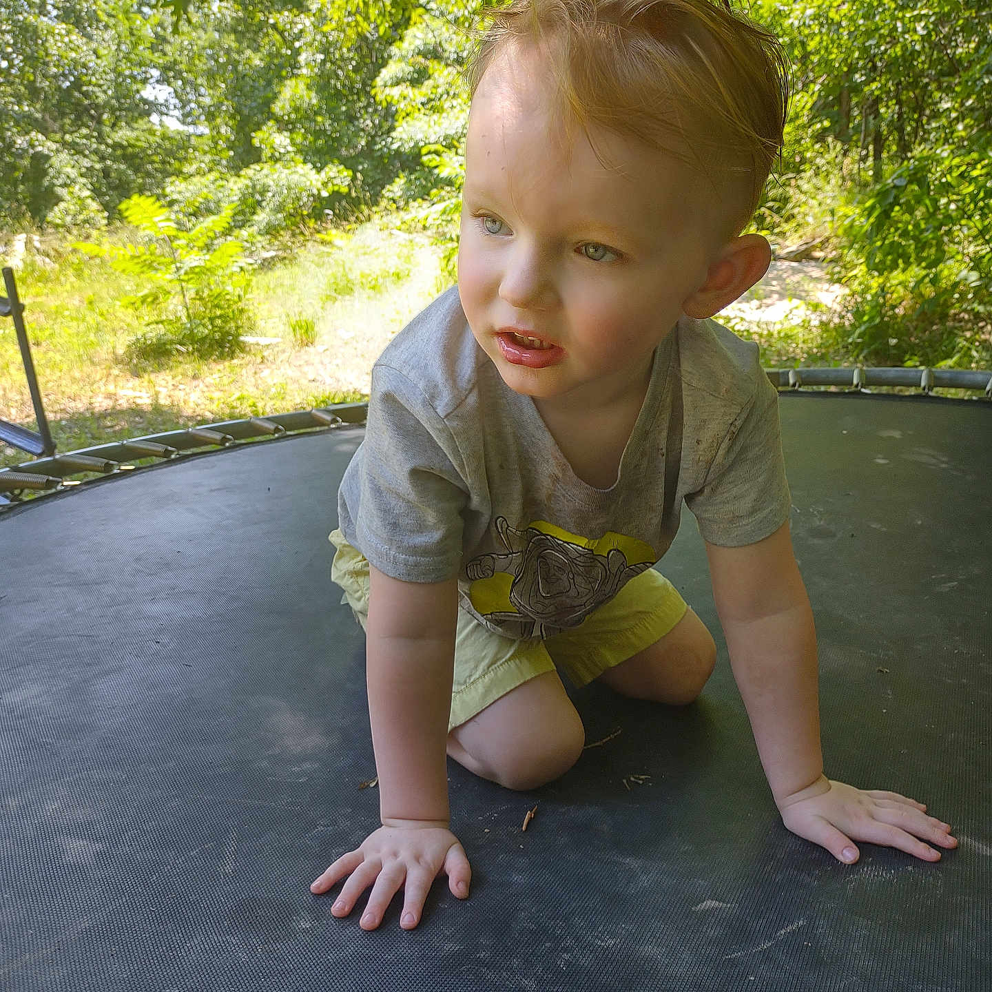Sebastien joined the competition — help win amazing prizes! casual, child, curious, daylight, exploration, greenery, hands, kneeling, nature, outdoor, play, portrait, shorts, summer, sunlight, toddler, trampoline, trees, tshirt, young_child